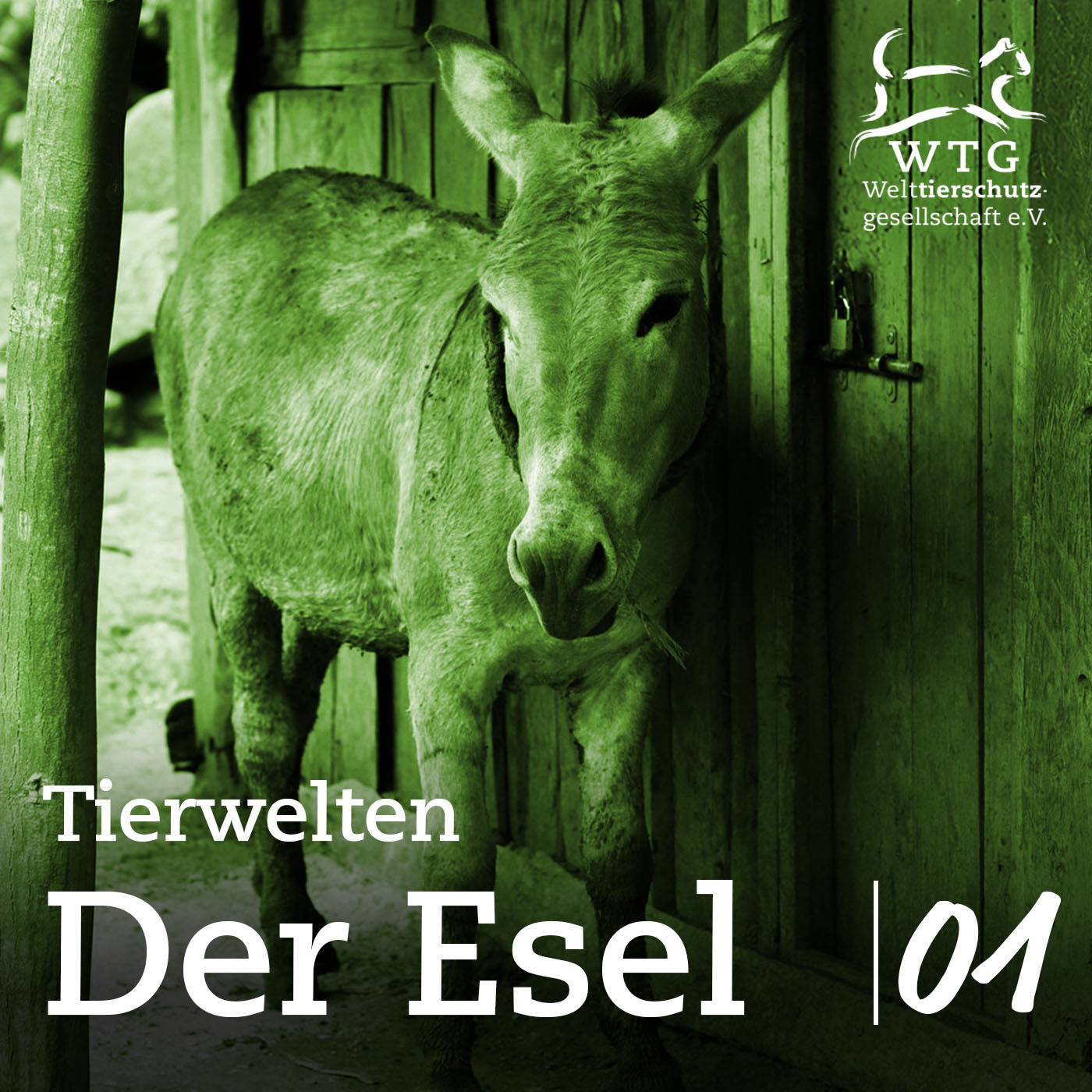Tierwelten