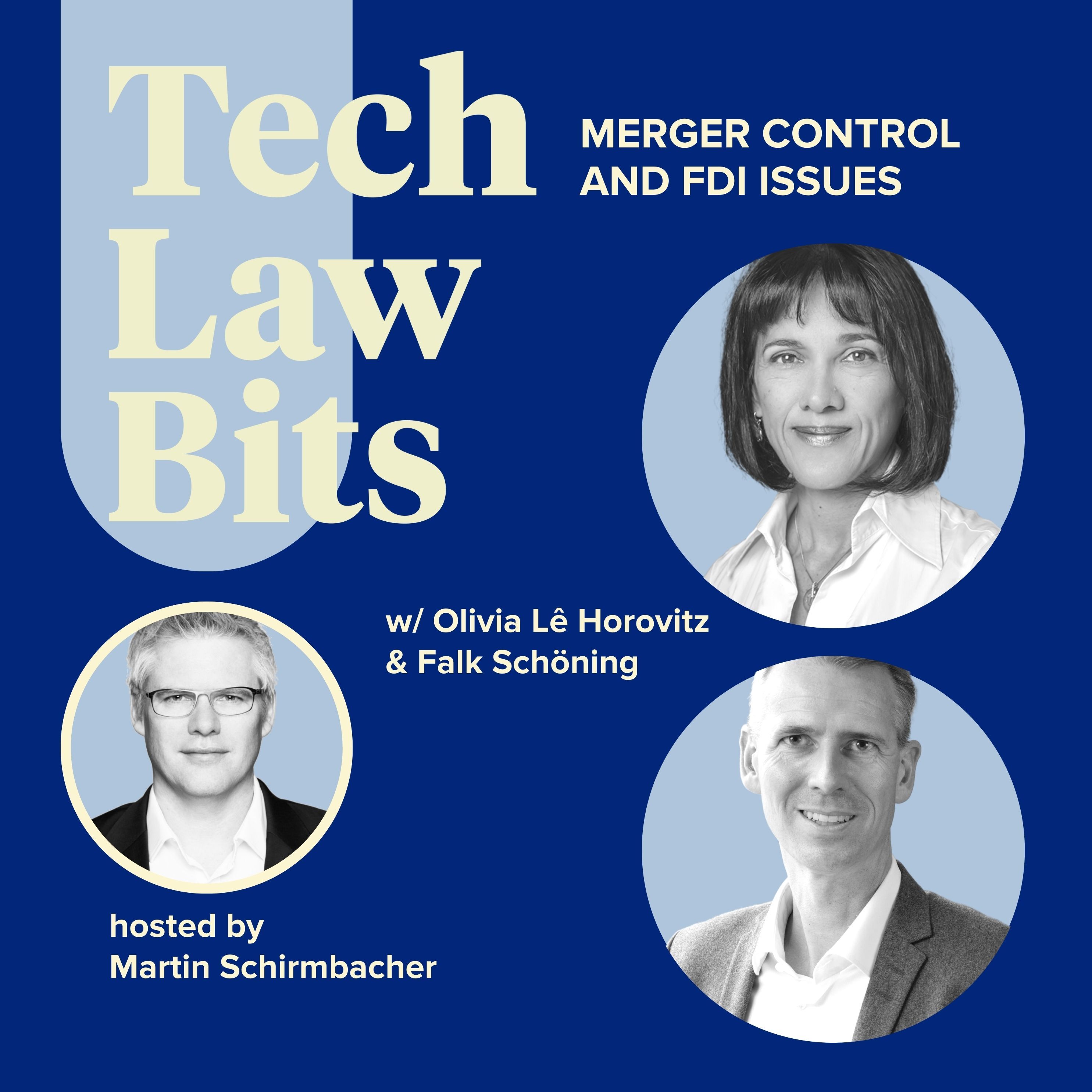 Tech Law Bits