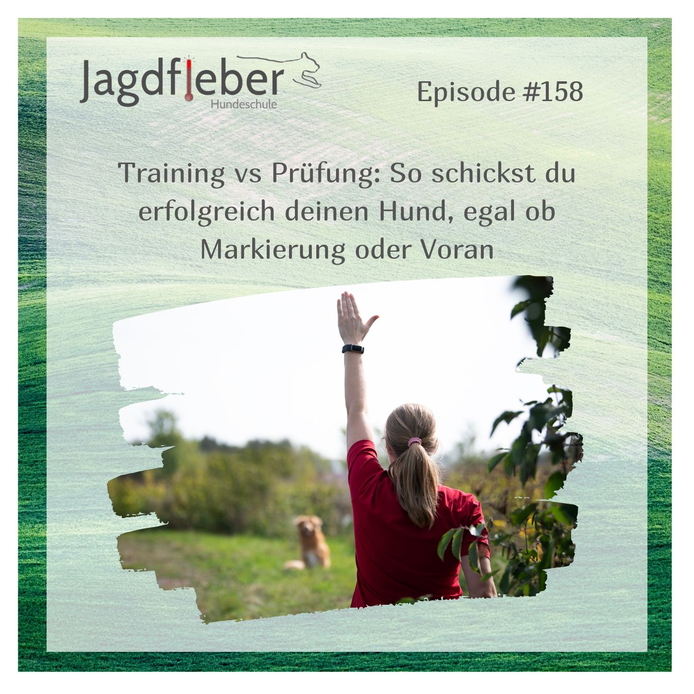 P158: Training vs Prüfung: So schickst du erfolgreich deinen Hund, egal ob Markierung oder Voran episode artwork