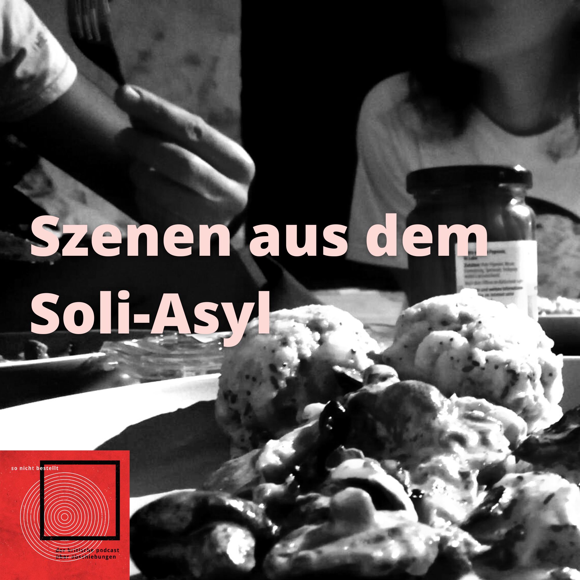 So Nicht Bestellt - der kritische Podcast zum Thema Abschiebung