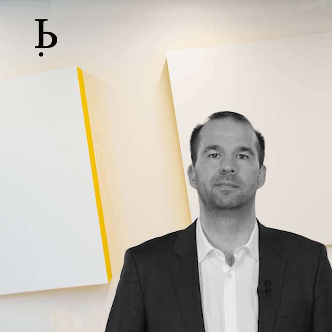 BARDEHLE IP Experts