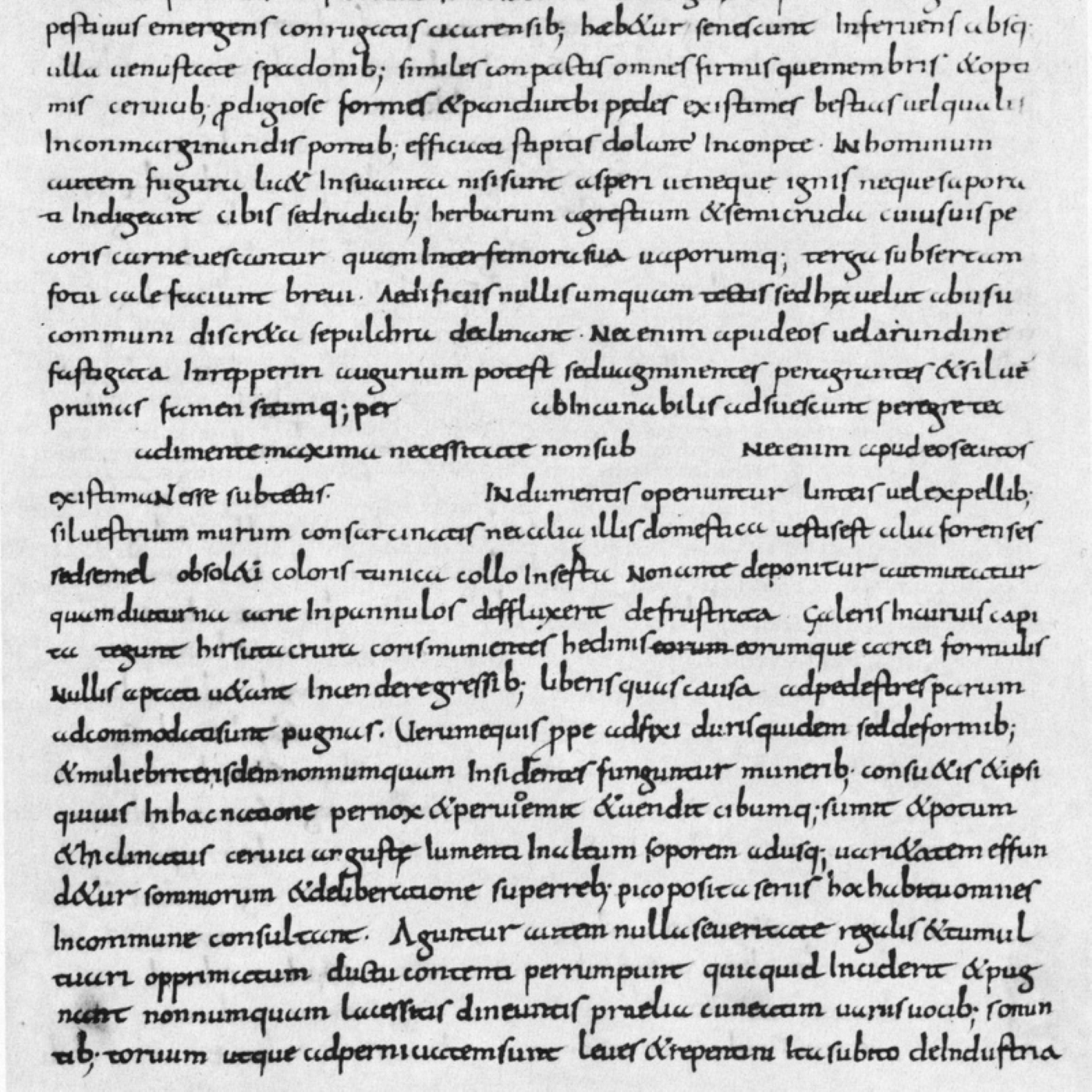 Y-025: Ammianus Marcellinus, Res Gestae, Buch XXXI, Abschn. 6-7 (c. 392)