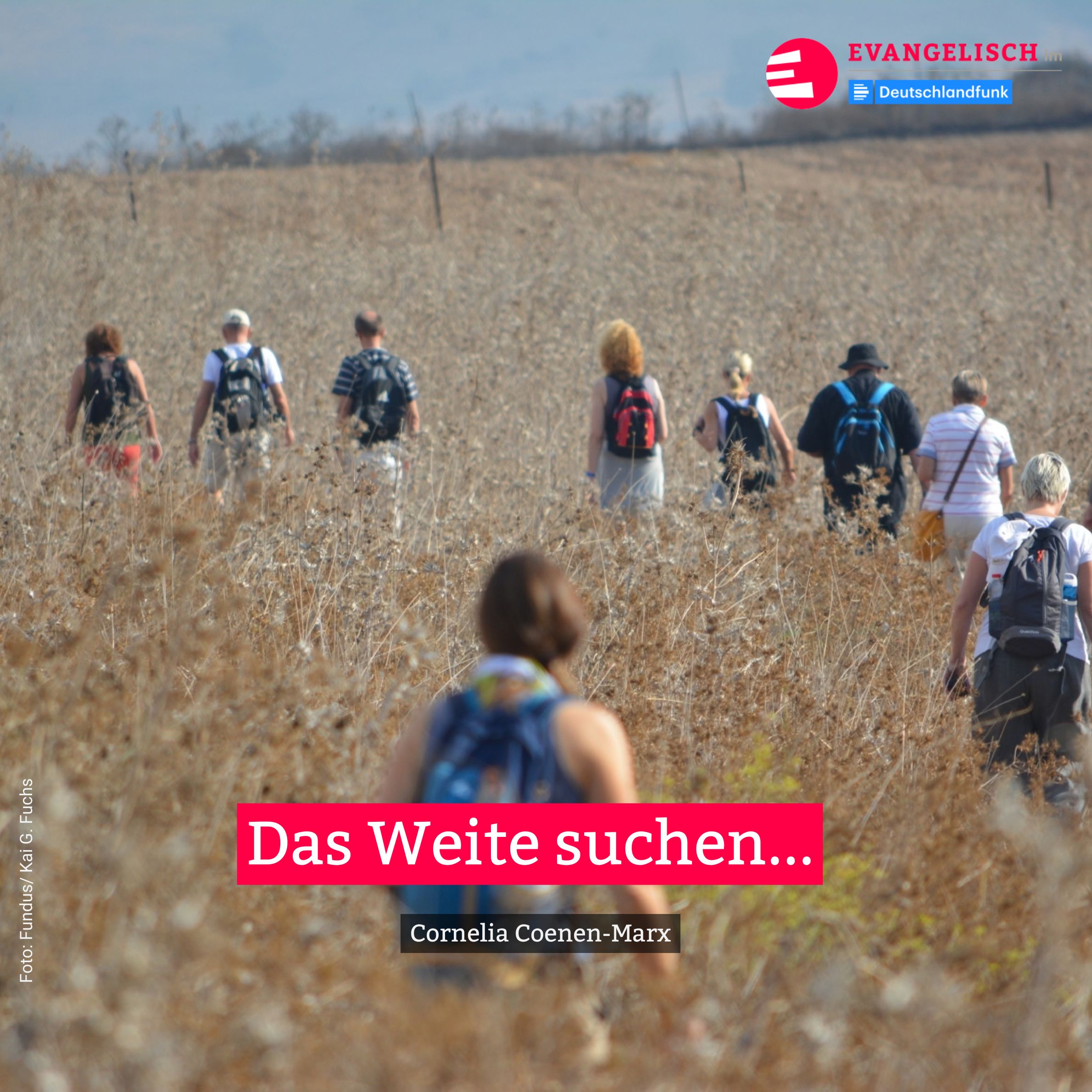 Das Weite suchen episode artwork