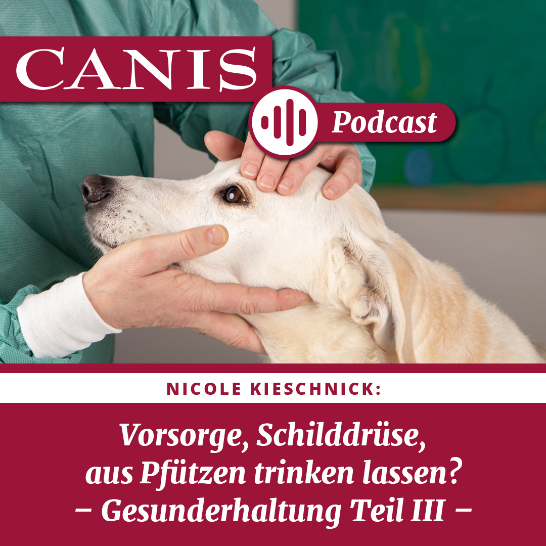 Der CANIS-Podcast – Hundeexpert:innen ausgefragt
