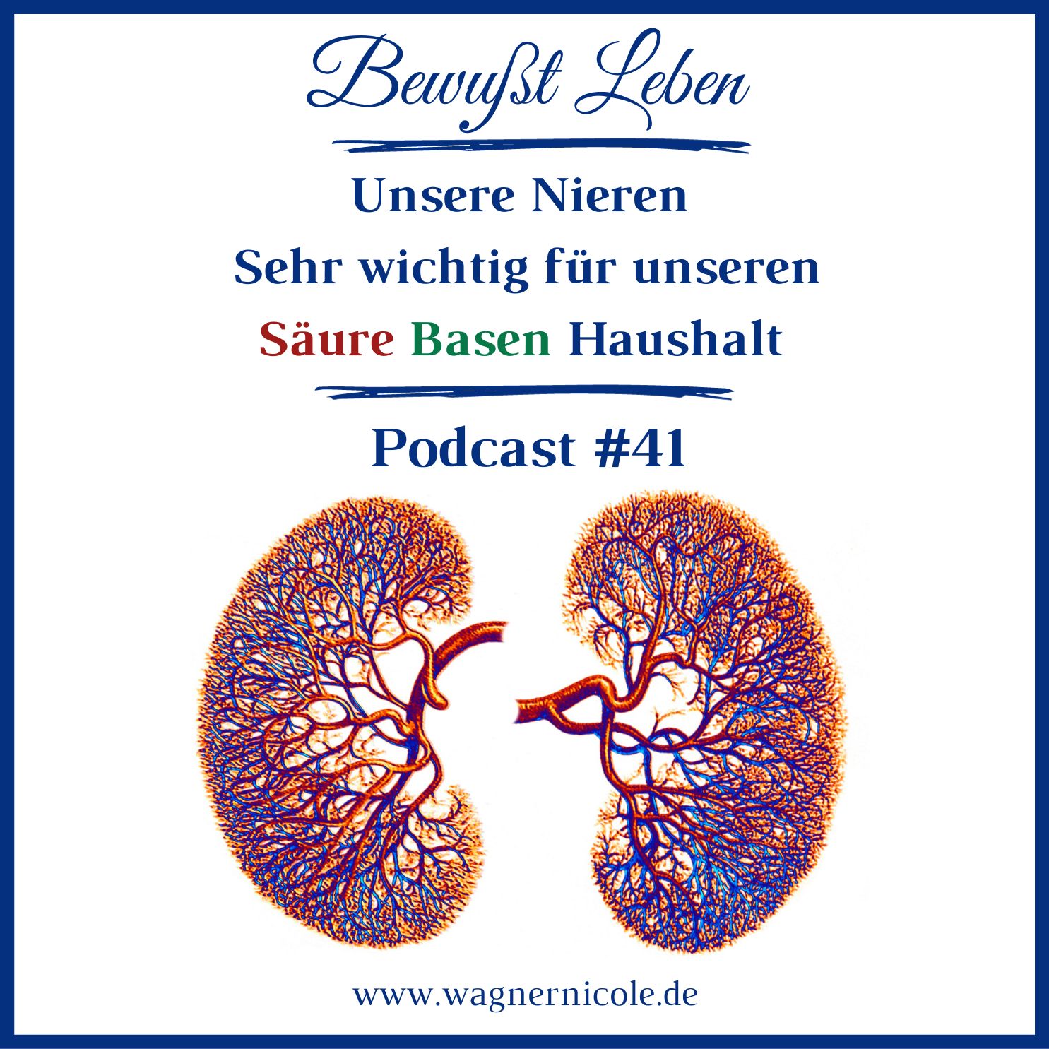 Zwischen den Welten I Energiearbeit, Jenseitskontakte & Meditation