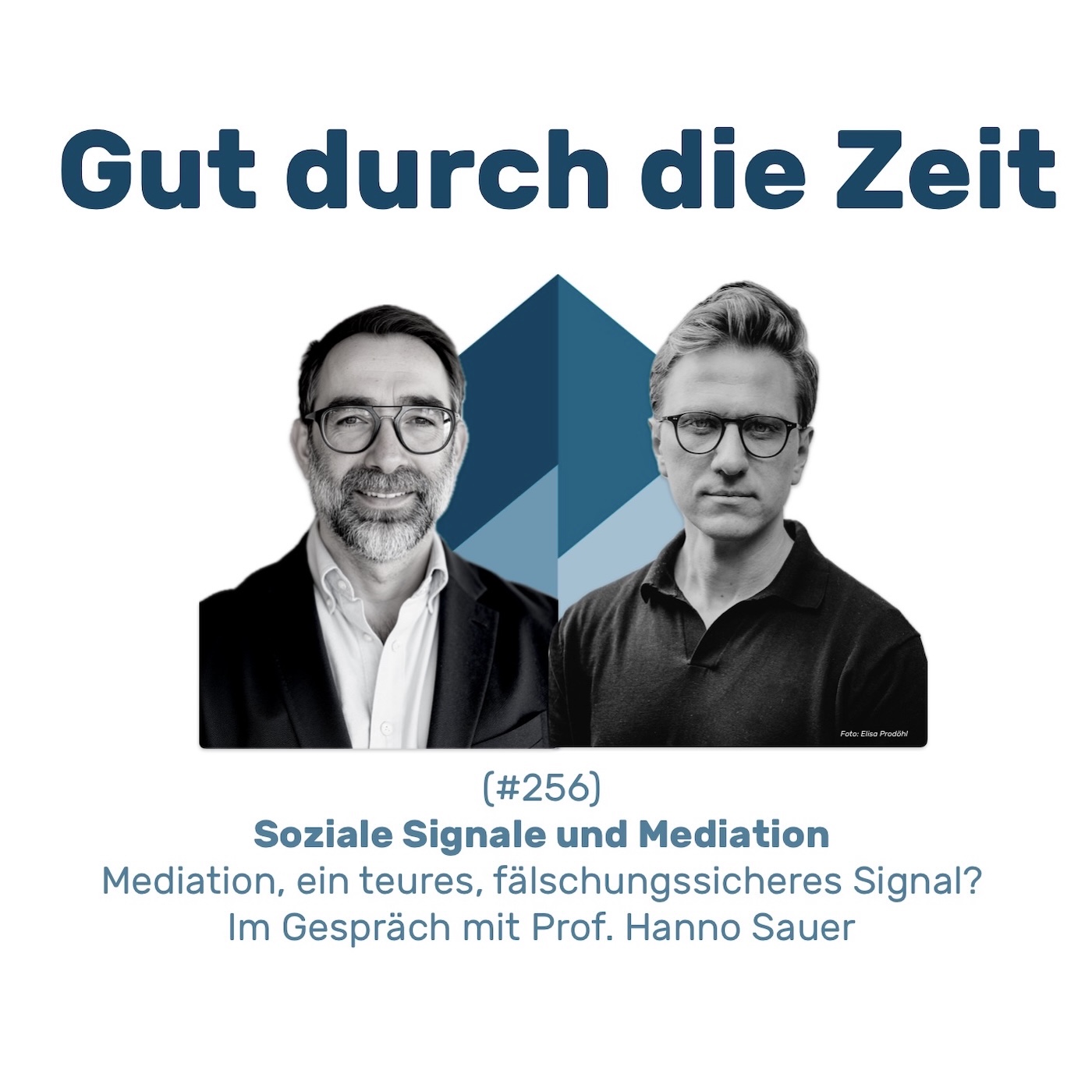 #256 GddZ - Soziale Signale und Mediation. Im Gespräch mit Prof. Hanno Sauer