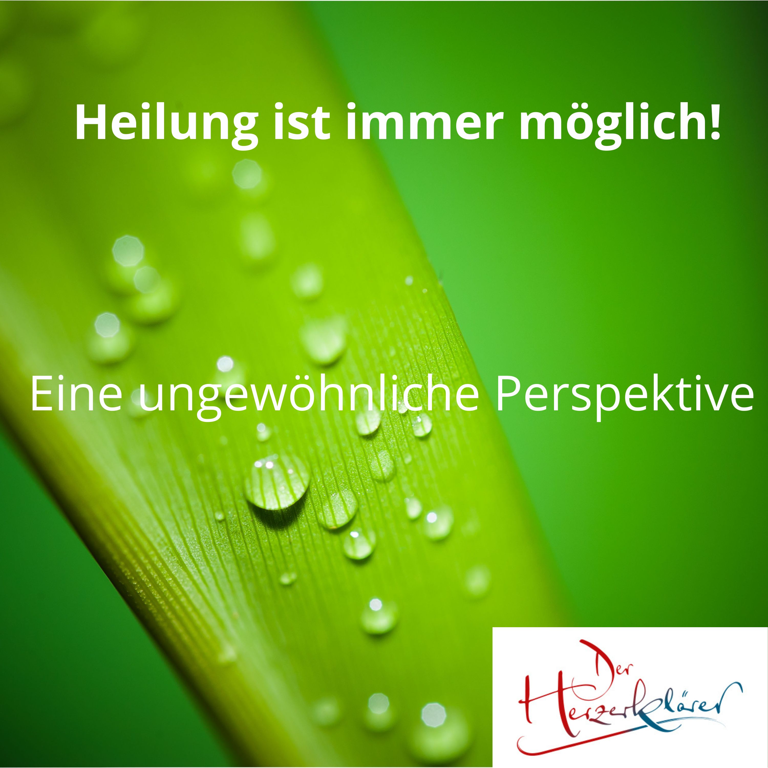 Der Herzerklärer