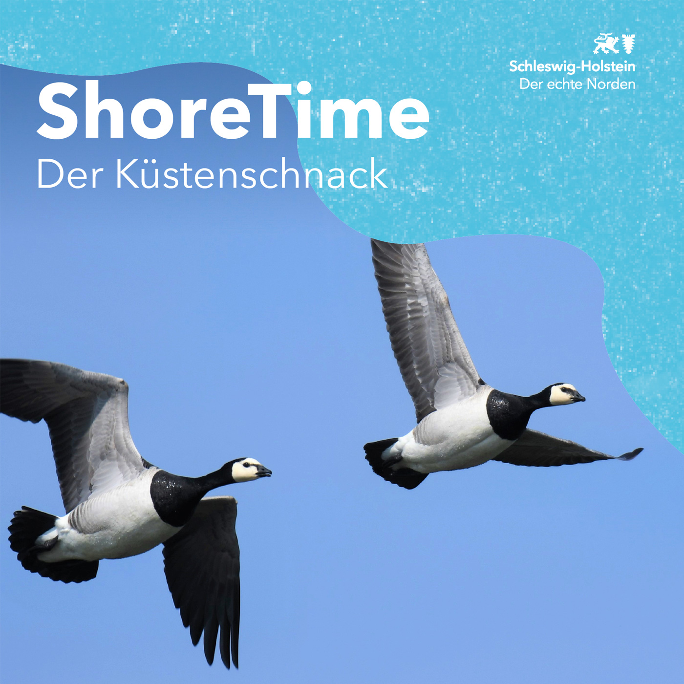 ShoreTime – der Küstenschnack