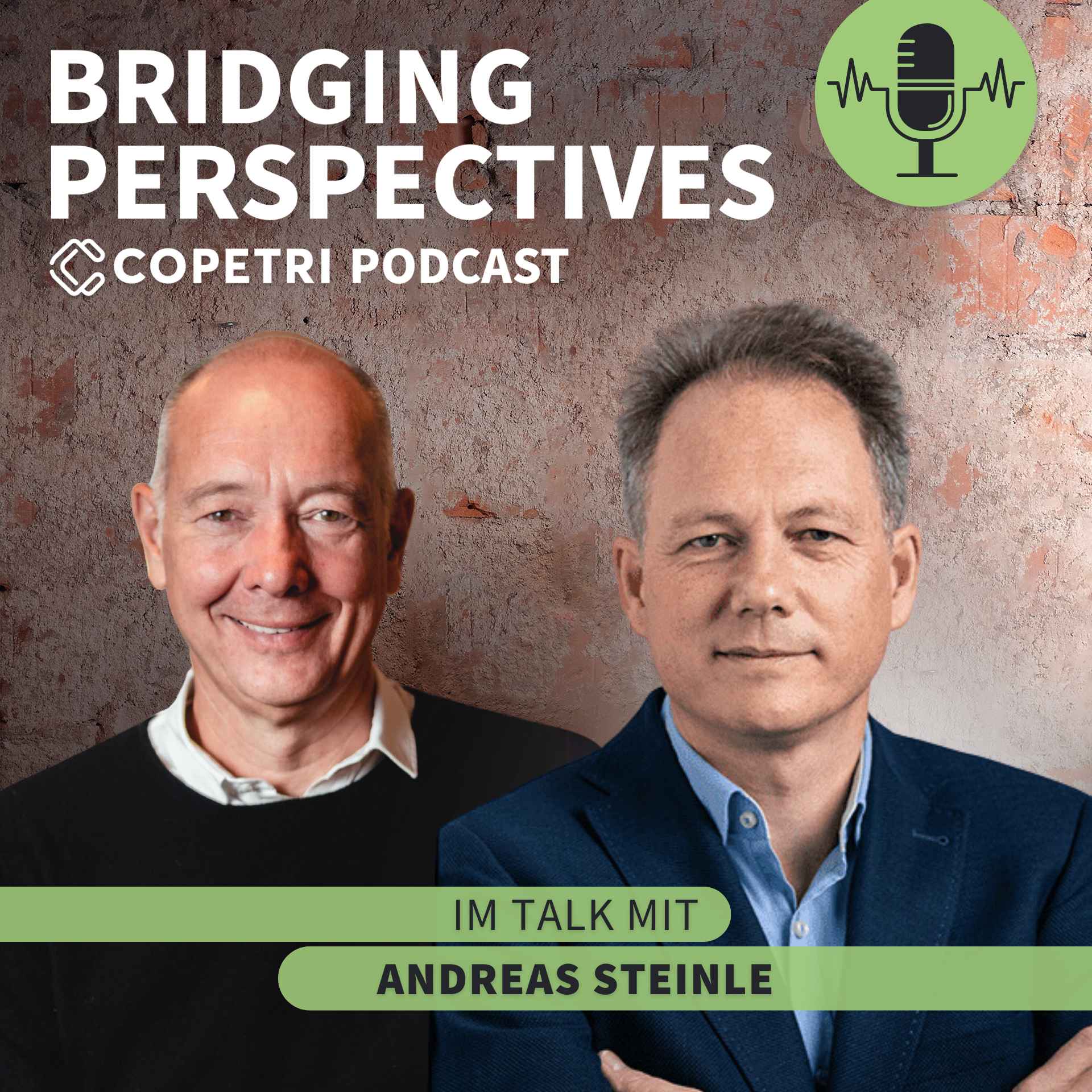 Bridging Perspectives - COPETRI Podcast