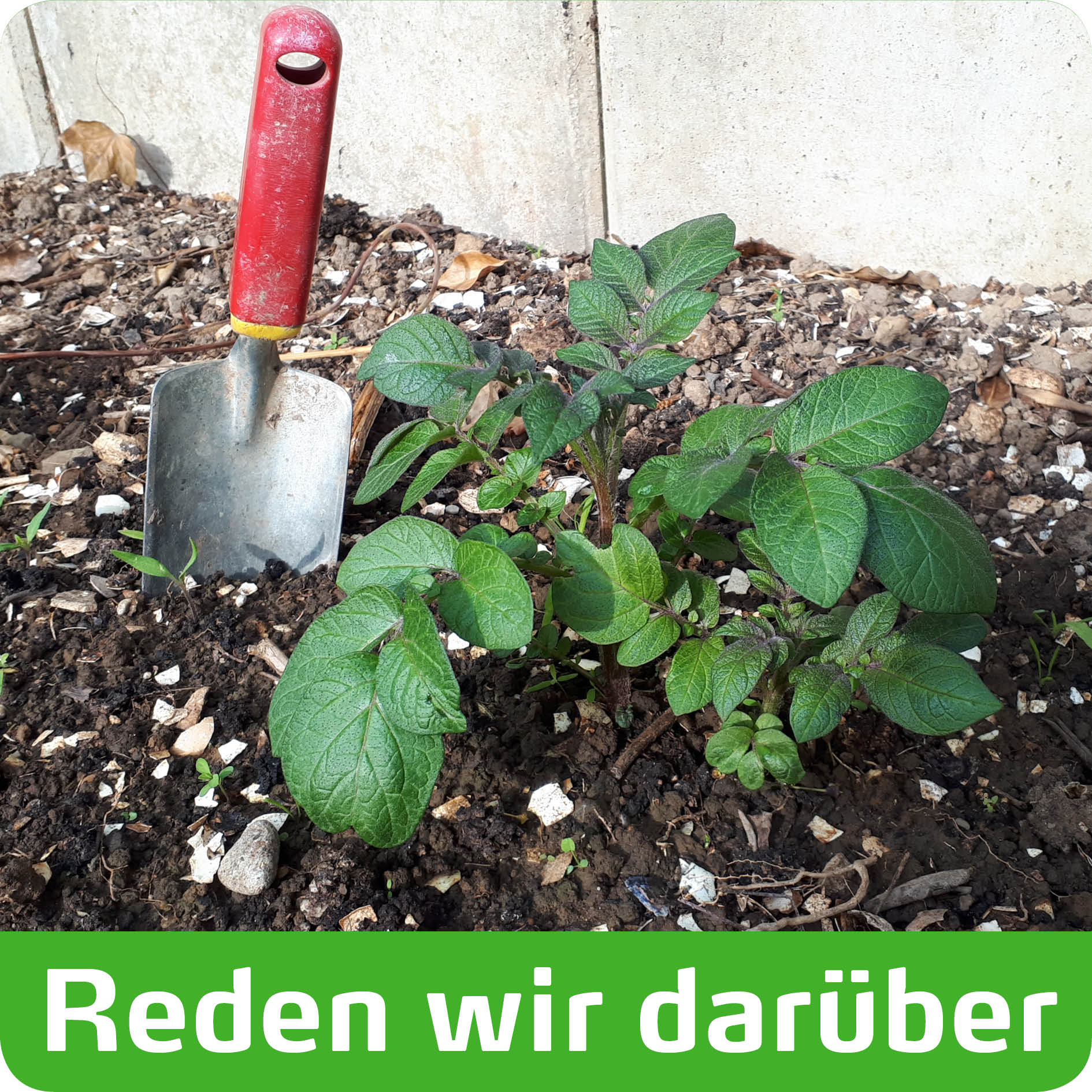 Reden wir darüber - Podcast über christliches Leben in Leverkusen