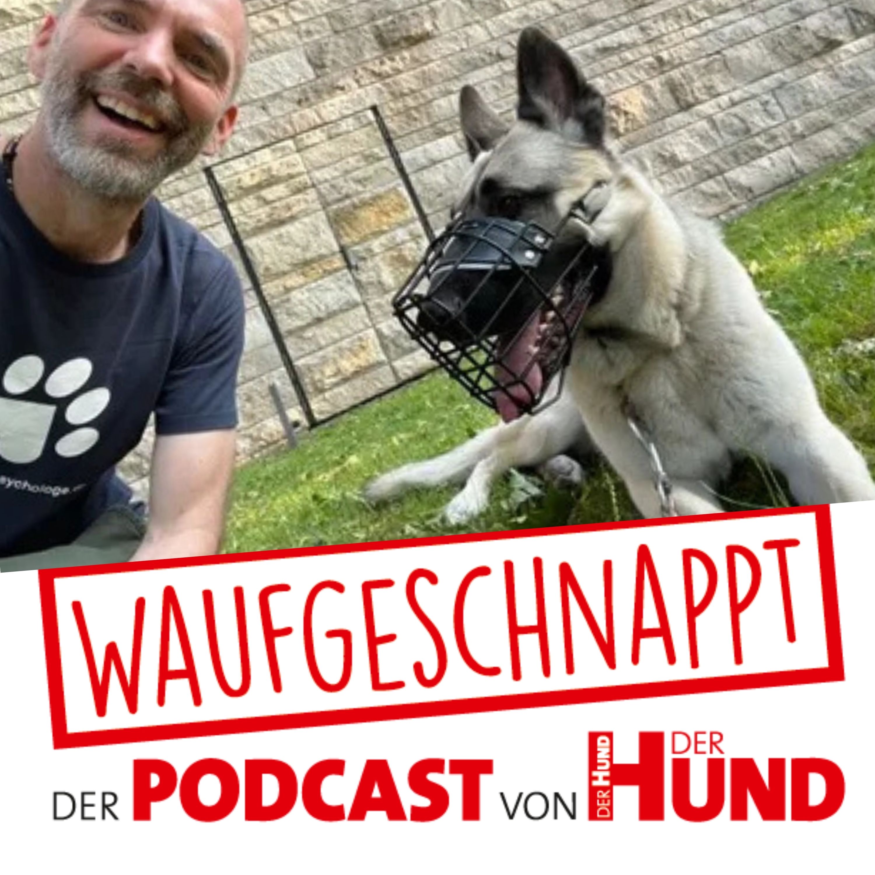 Wo normales Hundetraining aufhört - Der Hundespychologe episode artwork