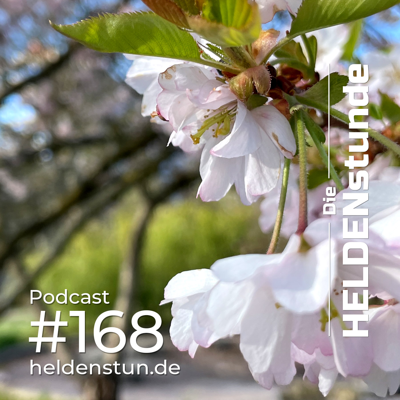 HELDENstunde. Für ein gesundes und bewusstes Leben.