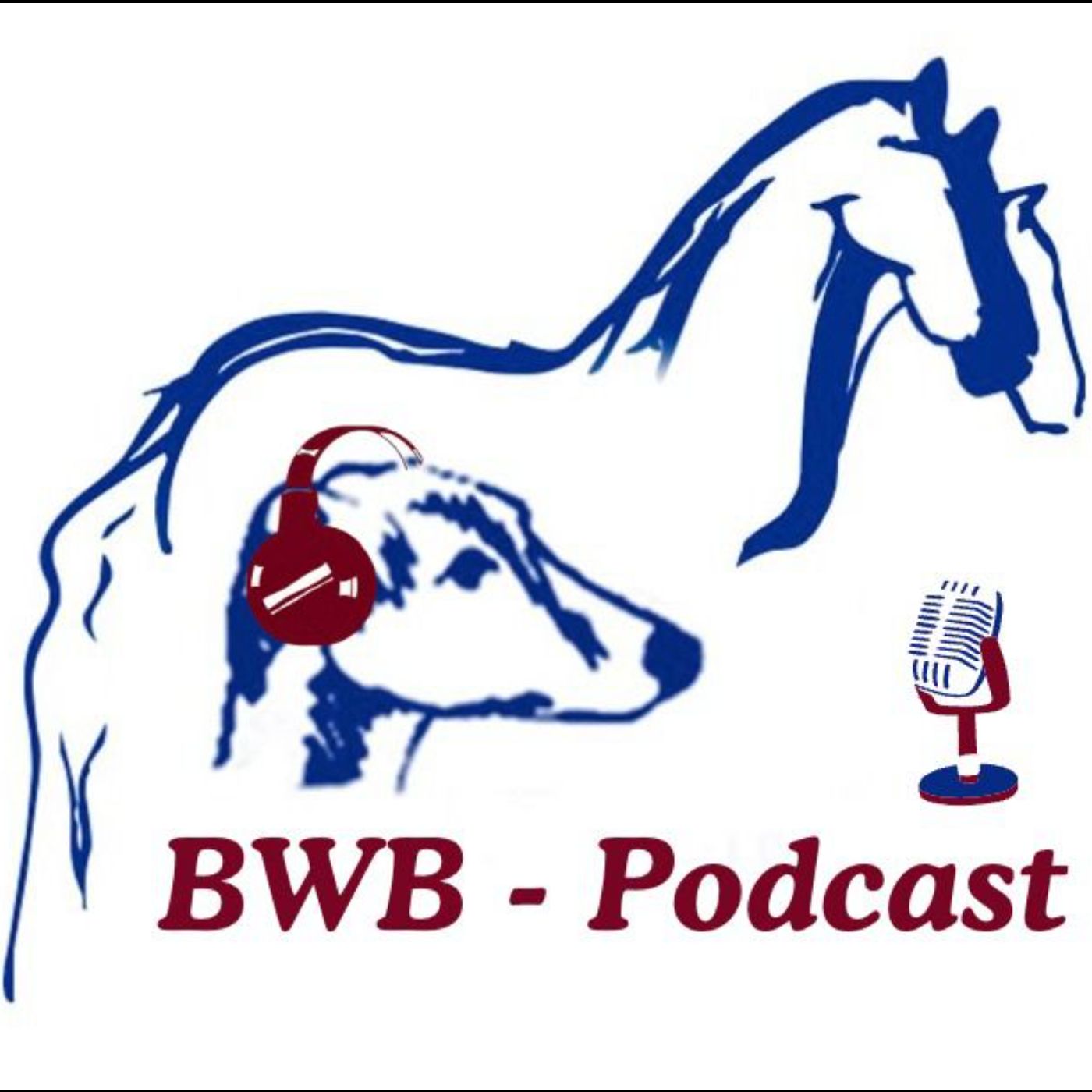 BWB Podcast - Der Fachschultalk mit Barbara Welter-Böller & Marion Pilipp podcast artwork