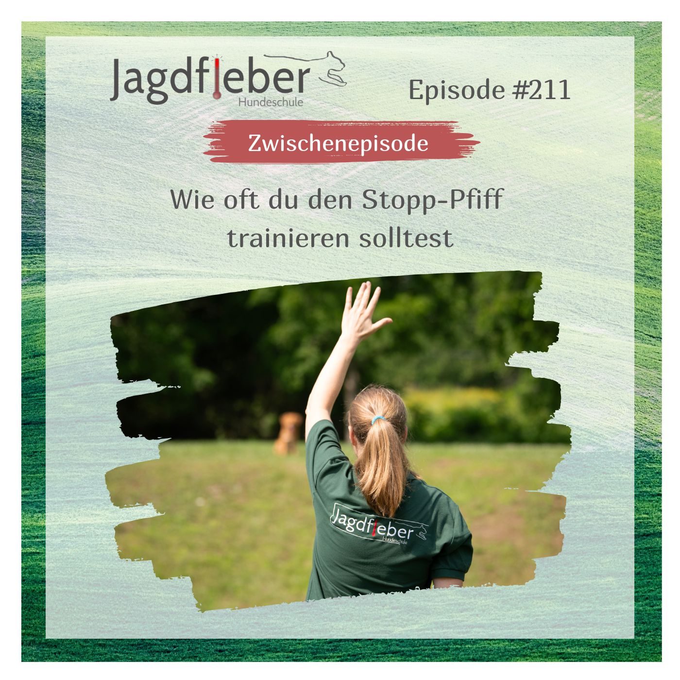 P211: Wie oft du den Stopp-Pfiff trainieren solltest episode artwork