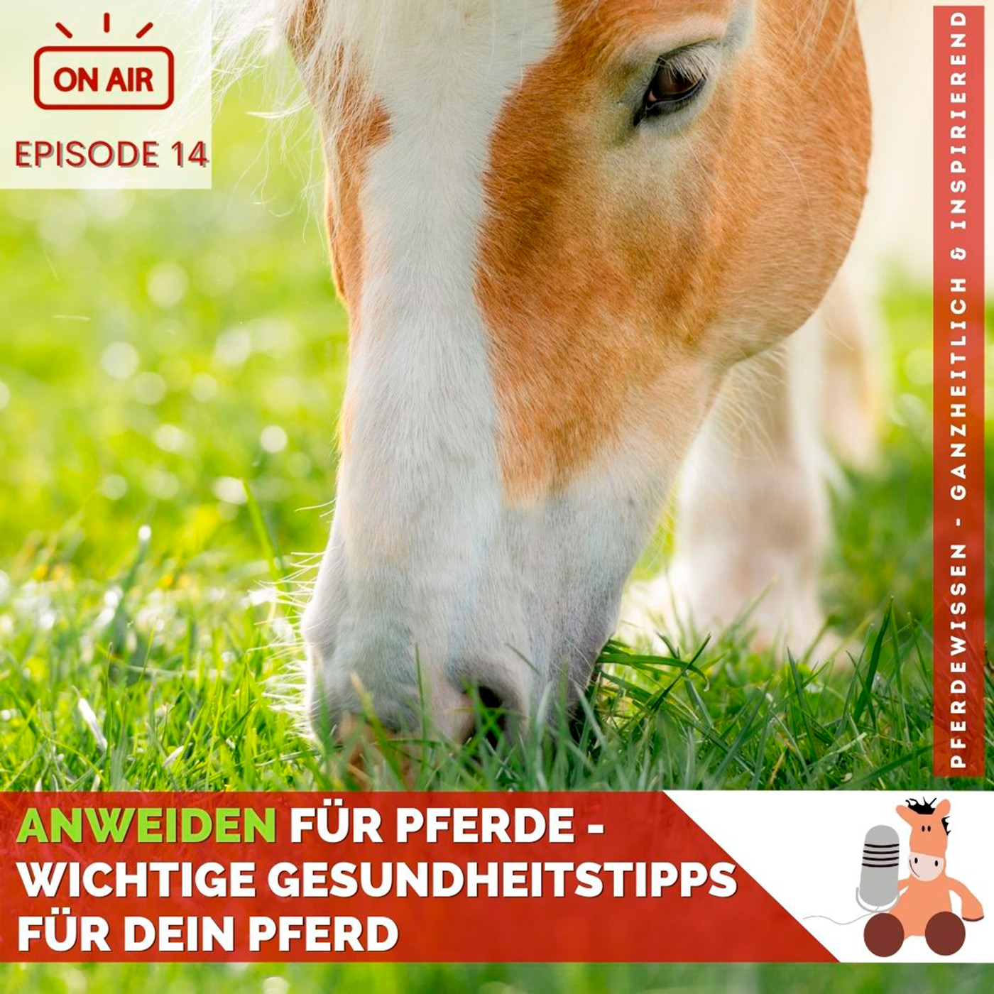 Pferdewissen - ganzheitlich & inspirierend mit Sandra Fencl