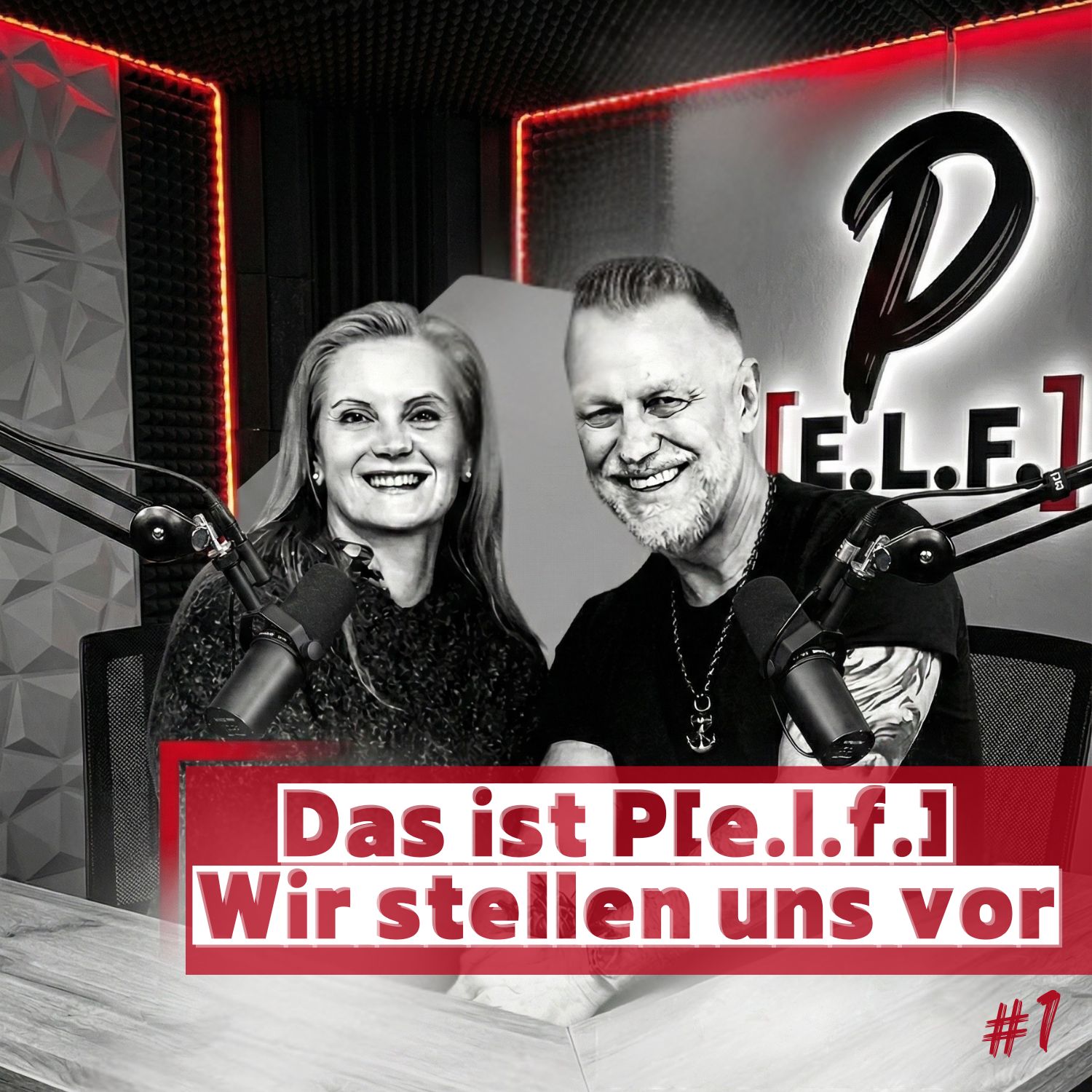 Das ist P[e.l.f.] Wir stellen uns vor | #001 episode artwork