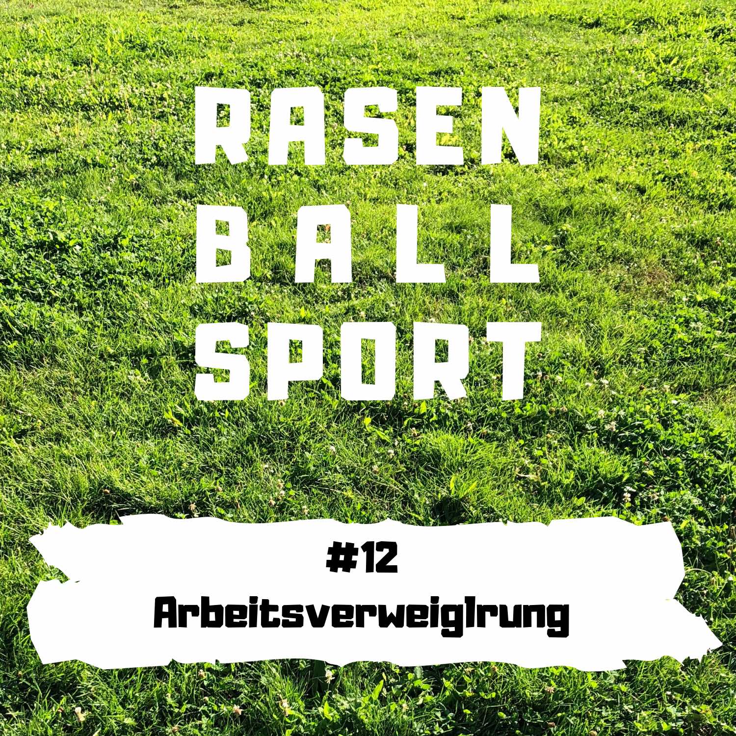RASENBALLSPOTT