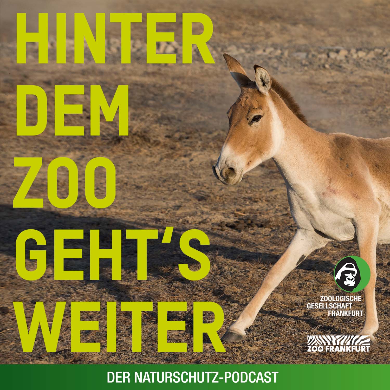 Hinter dem Zoo geht\'s weiter - Der Naturschutzpodcast aus Frankfurt
