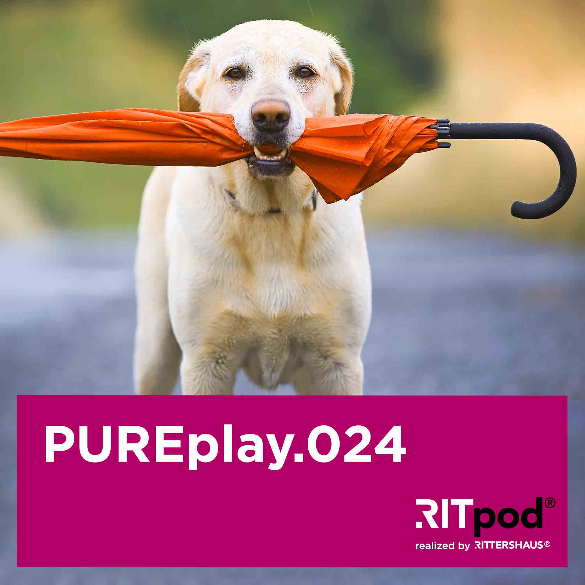 PUREplay – Legal Insights für Start-Ups und eCommerce