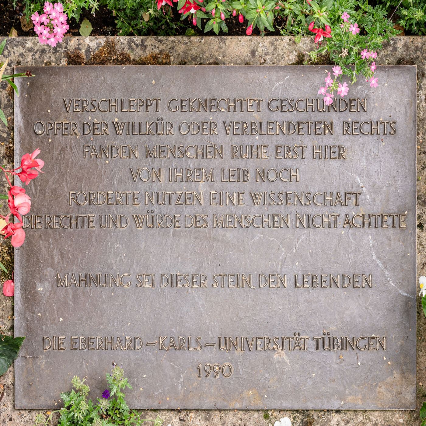 Y-135: Inschrift der Grabplatte auf dem Gräberfeld X in Tübingen (1990)