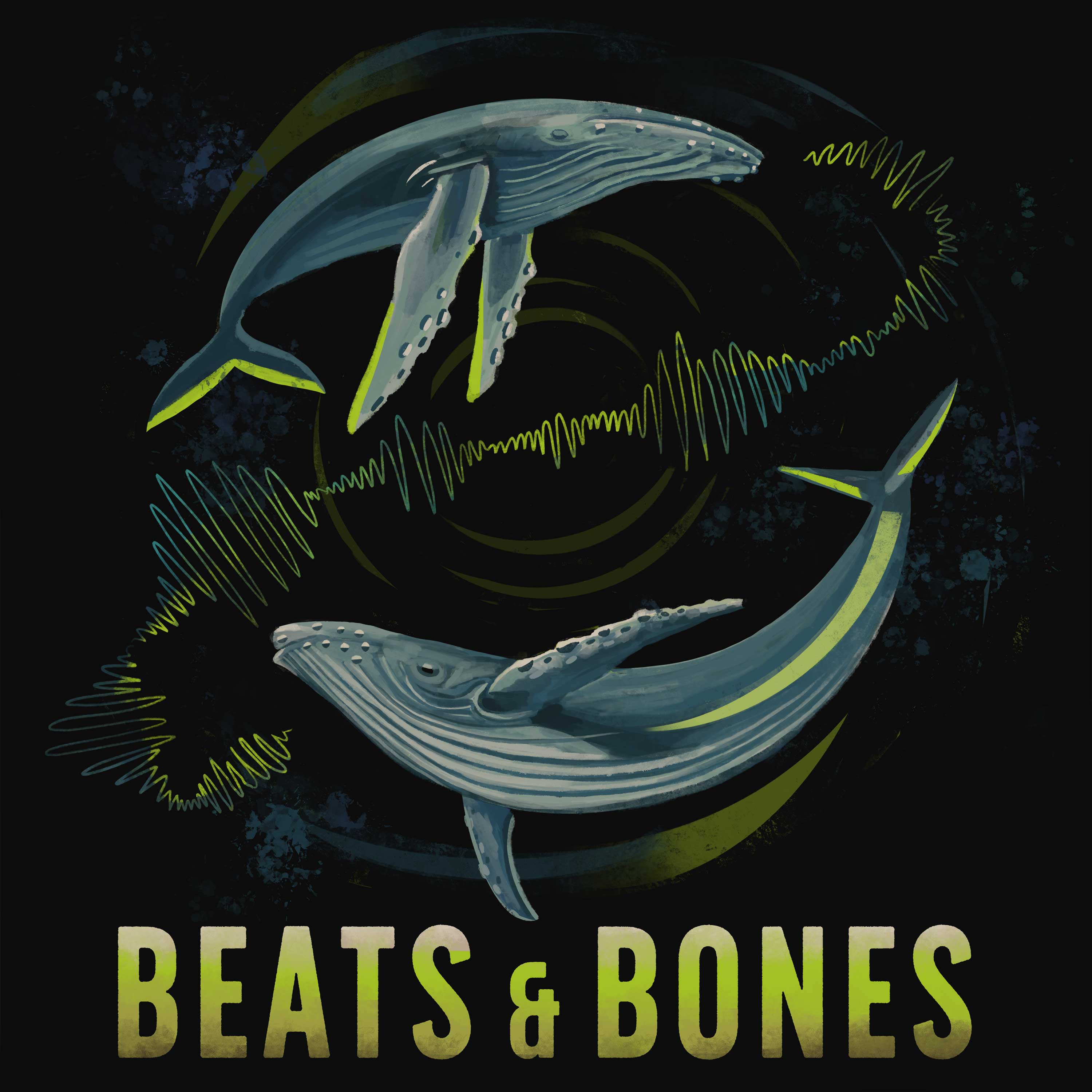 Beats & Bones