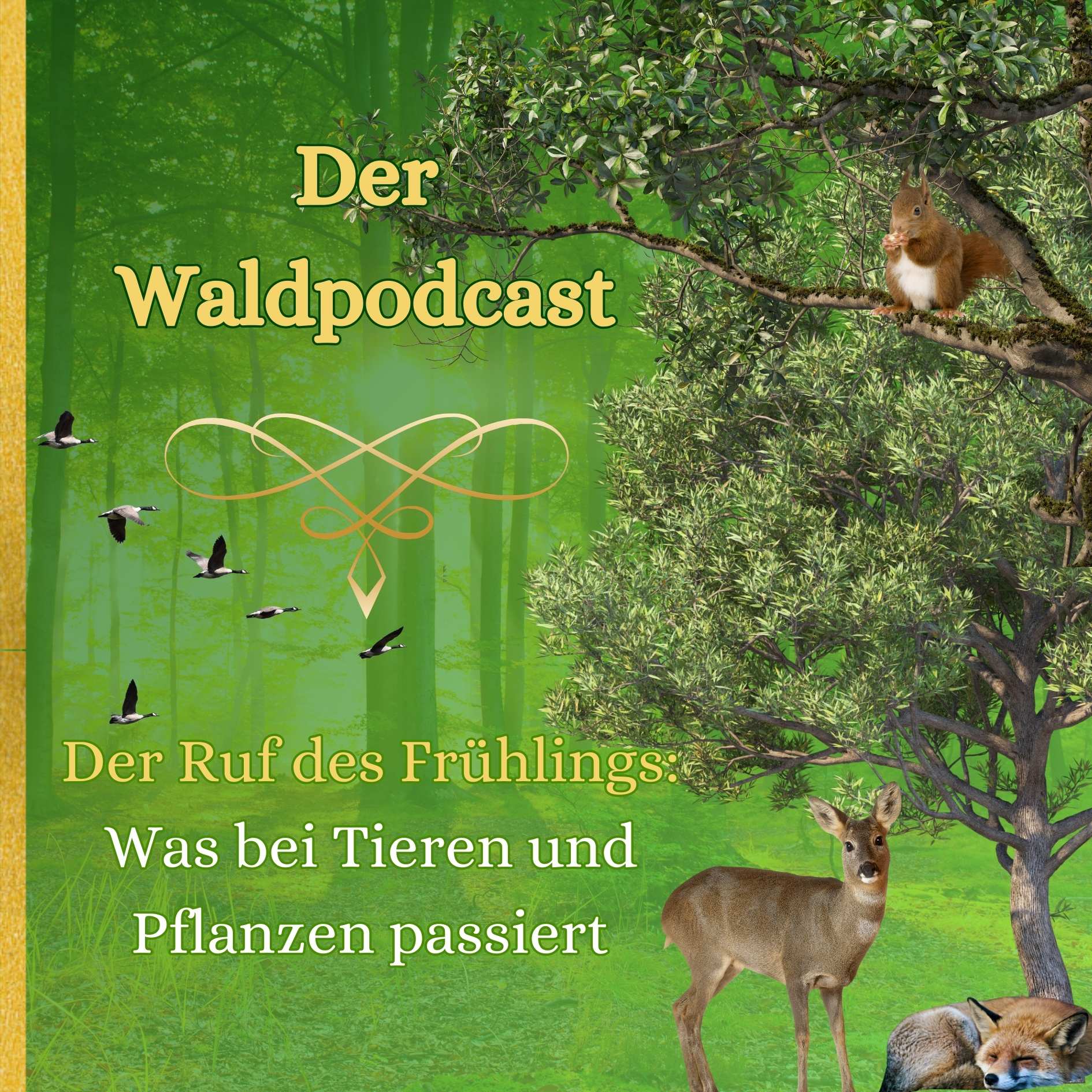 Waldpodcast - für deine innere & äußere Natur