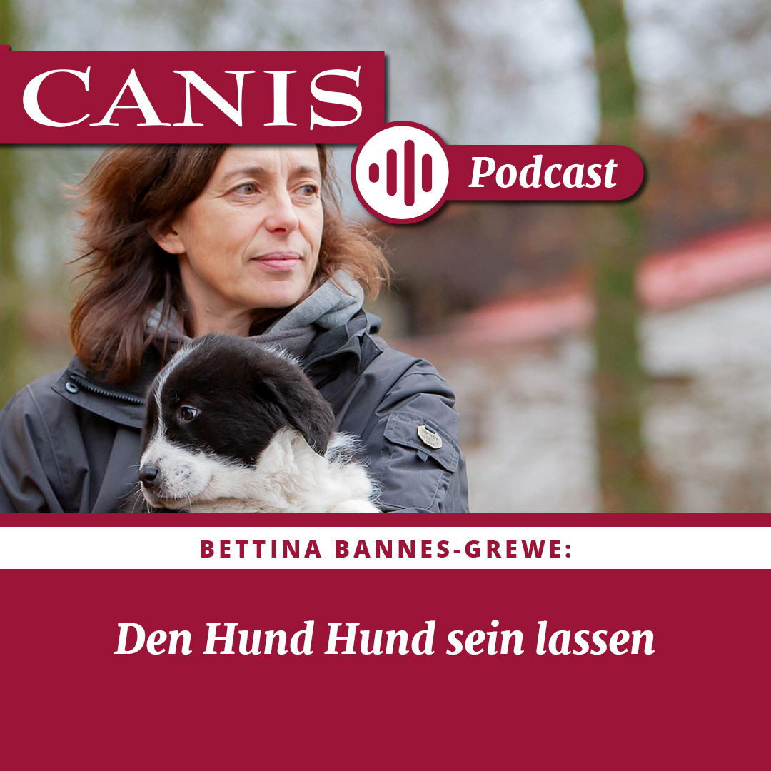 Der CANIS-Podcast – Hundeexpert:innen ausgefragt