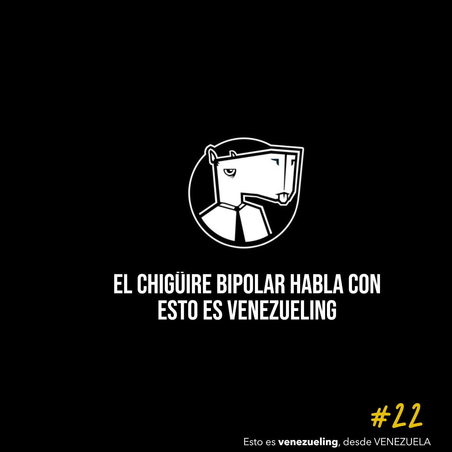 “En Venezuela pasan cosas muy absurdas y eso nos facilita el trabajo”: El Chigüire Bipolar con Esto es venezueling