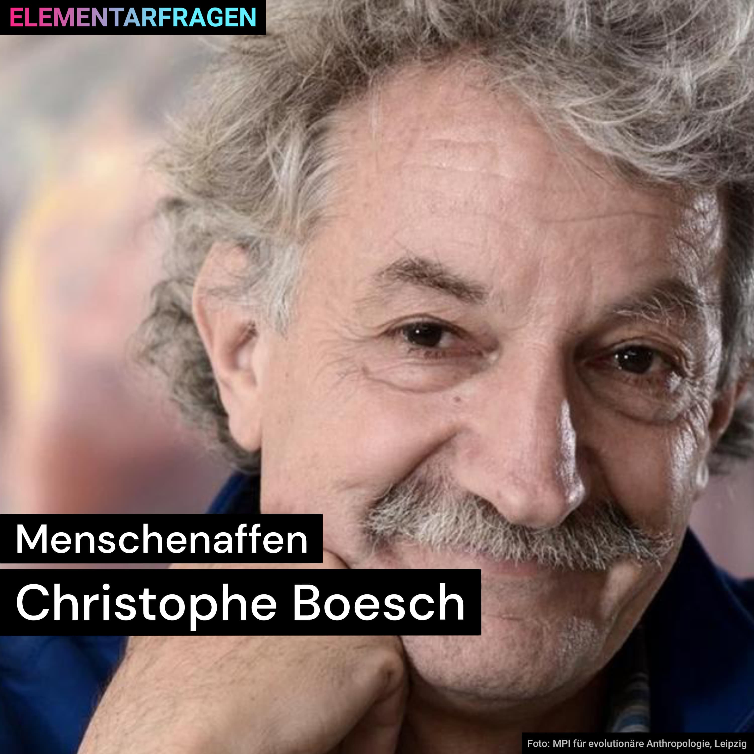 Menschenaffen | Christophe Boesch