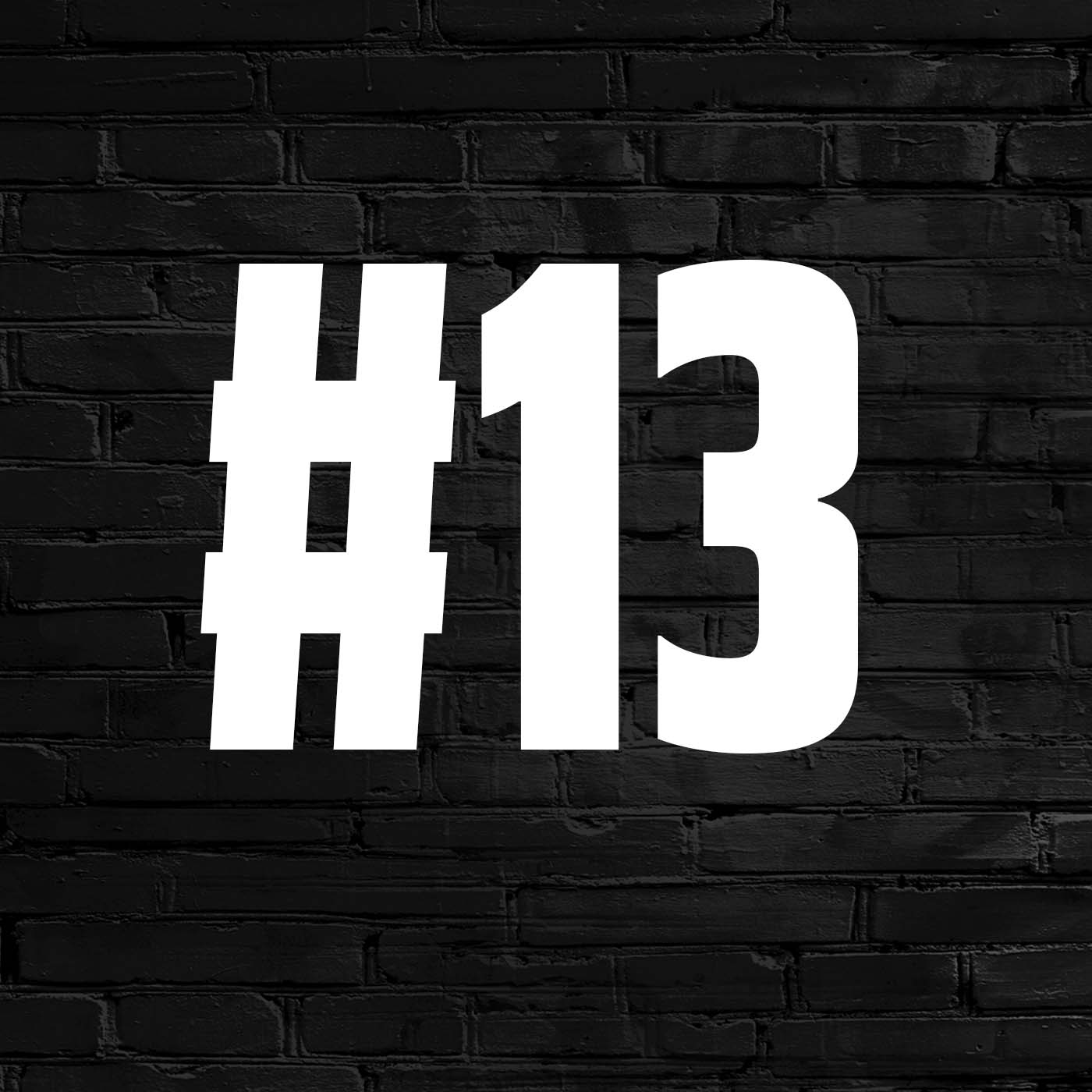 #13 - Tiermotive Teil 2 episode artwork