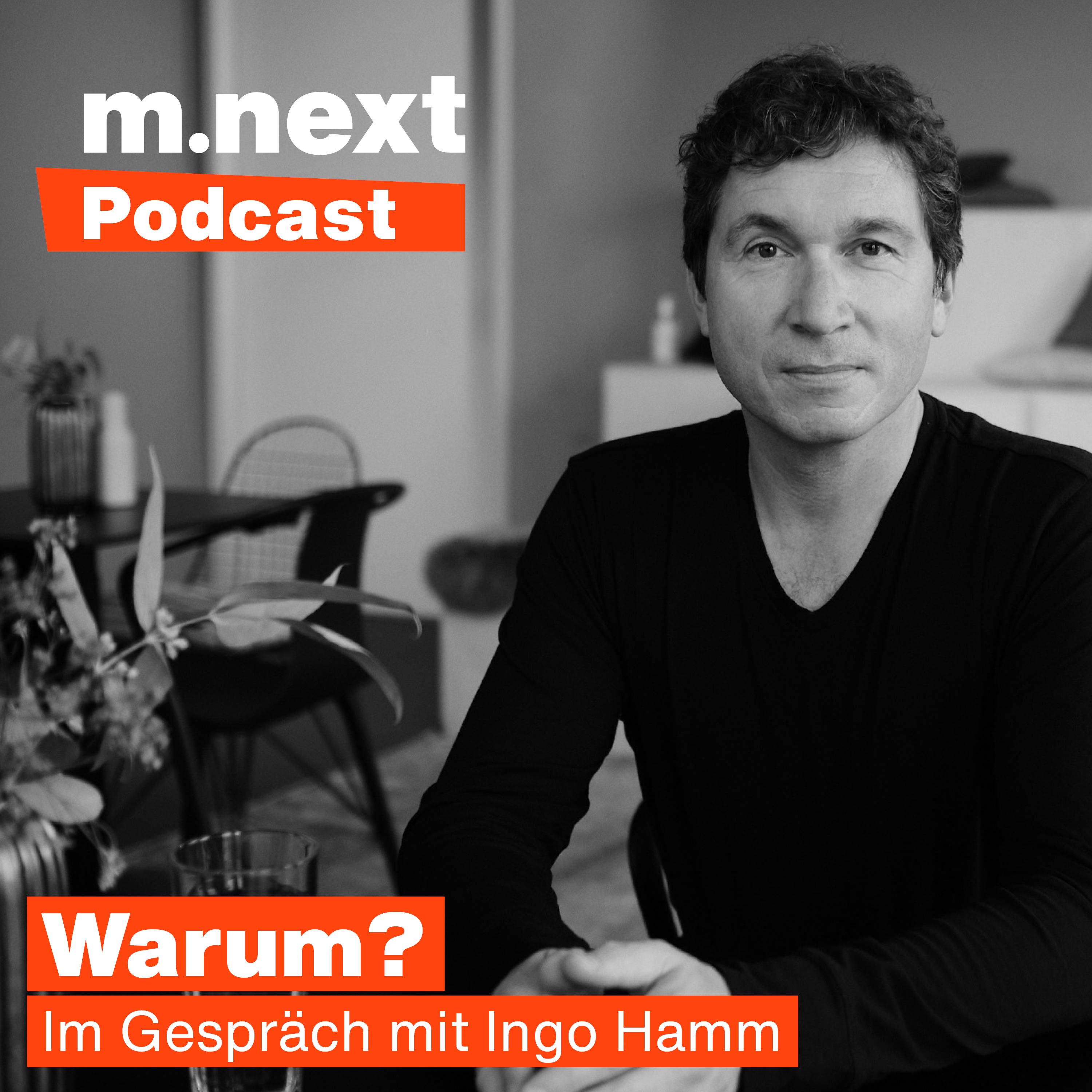 m.next Podcast