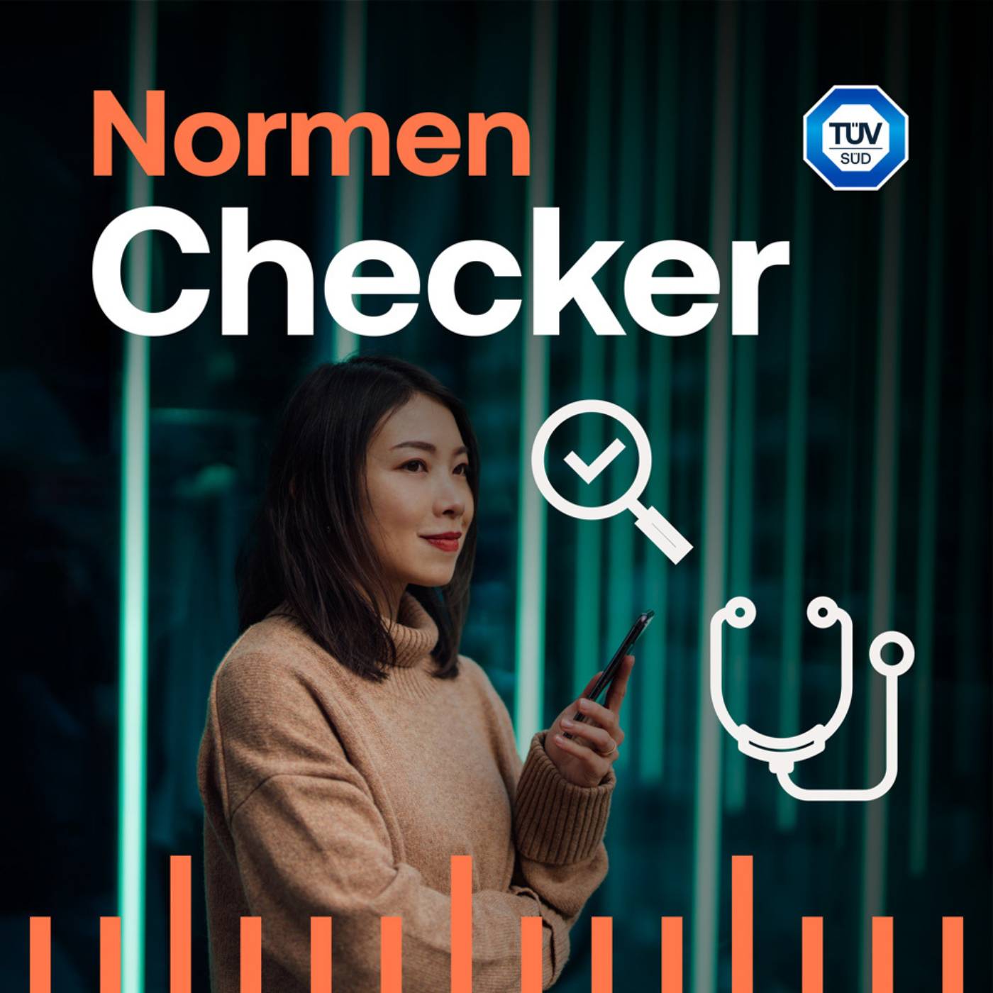 Normen Checker