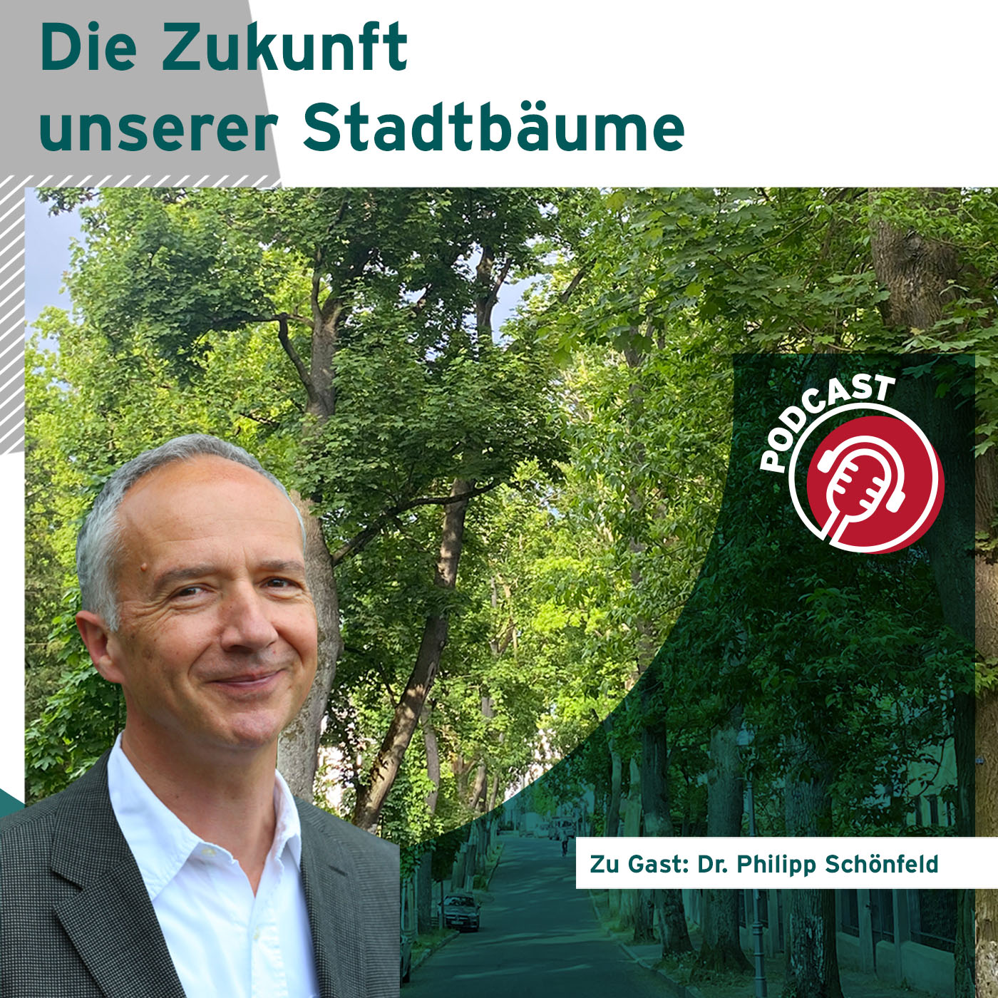 Regenwassermanagement Podcast für die Baupraxis