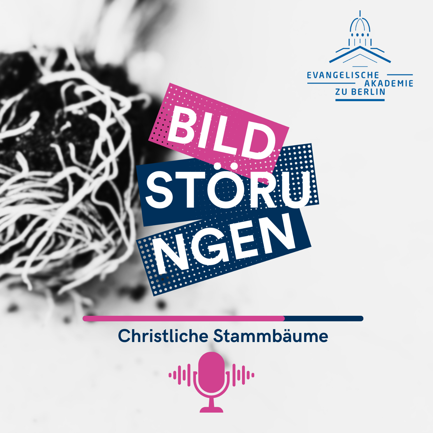 Bildstörungen