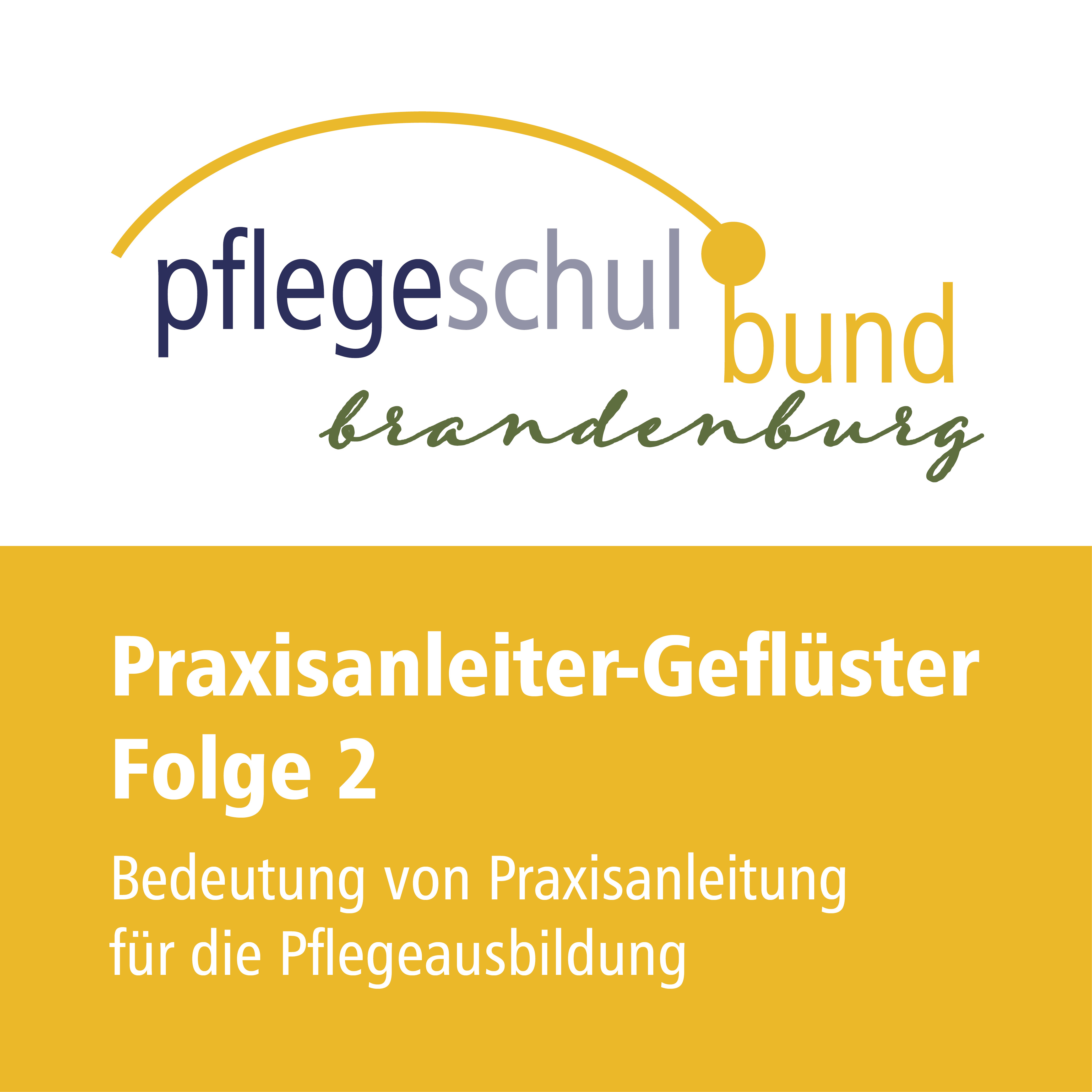 Folge 2: Bedeutung Von Praxisanleitung Für Die Pflegeausbildung ...