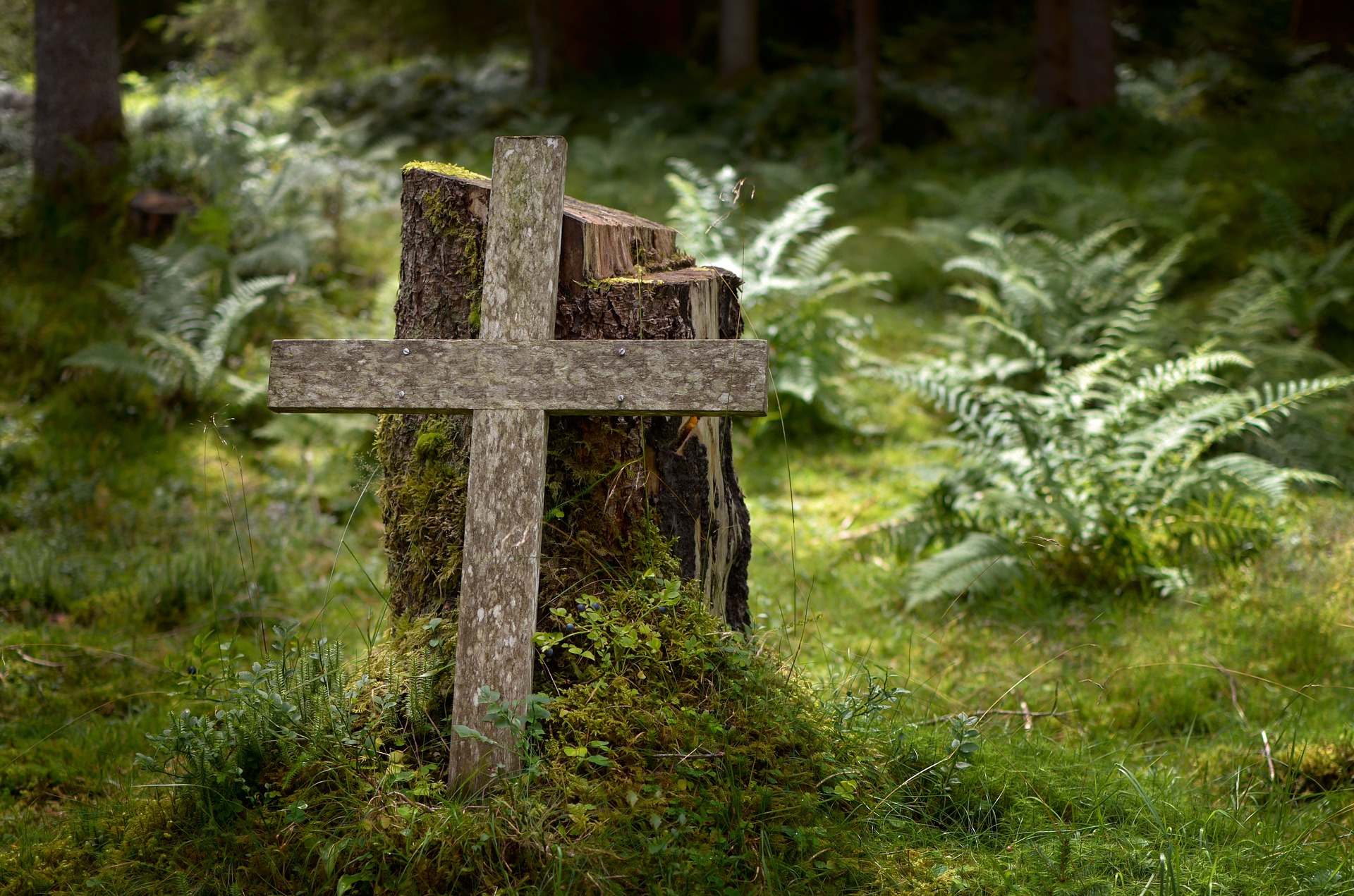 Wo ist Gott? episode artwork