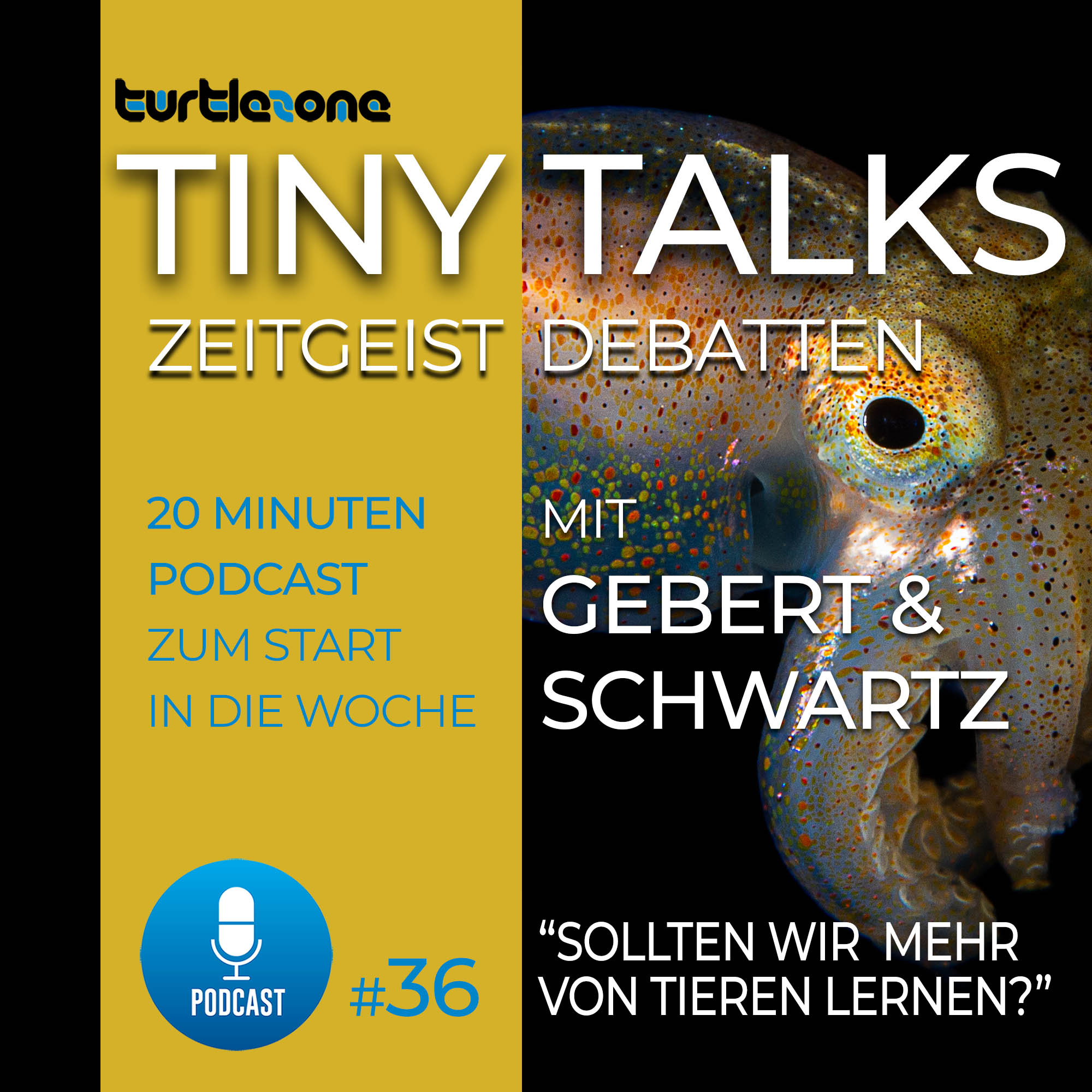 Turtlezone Tiny Talks - Der Debatten-Podcast mit Gebert und Schwartz