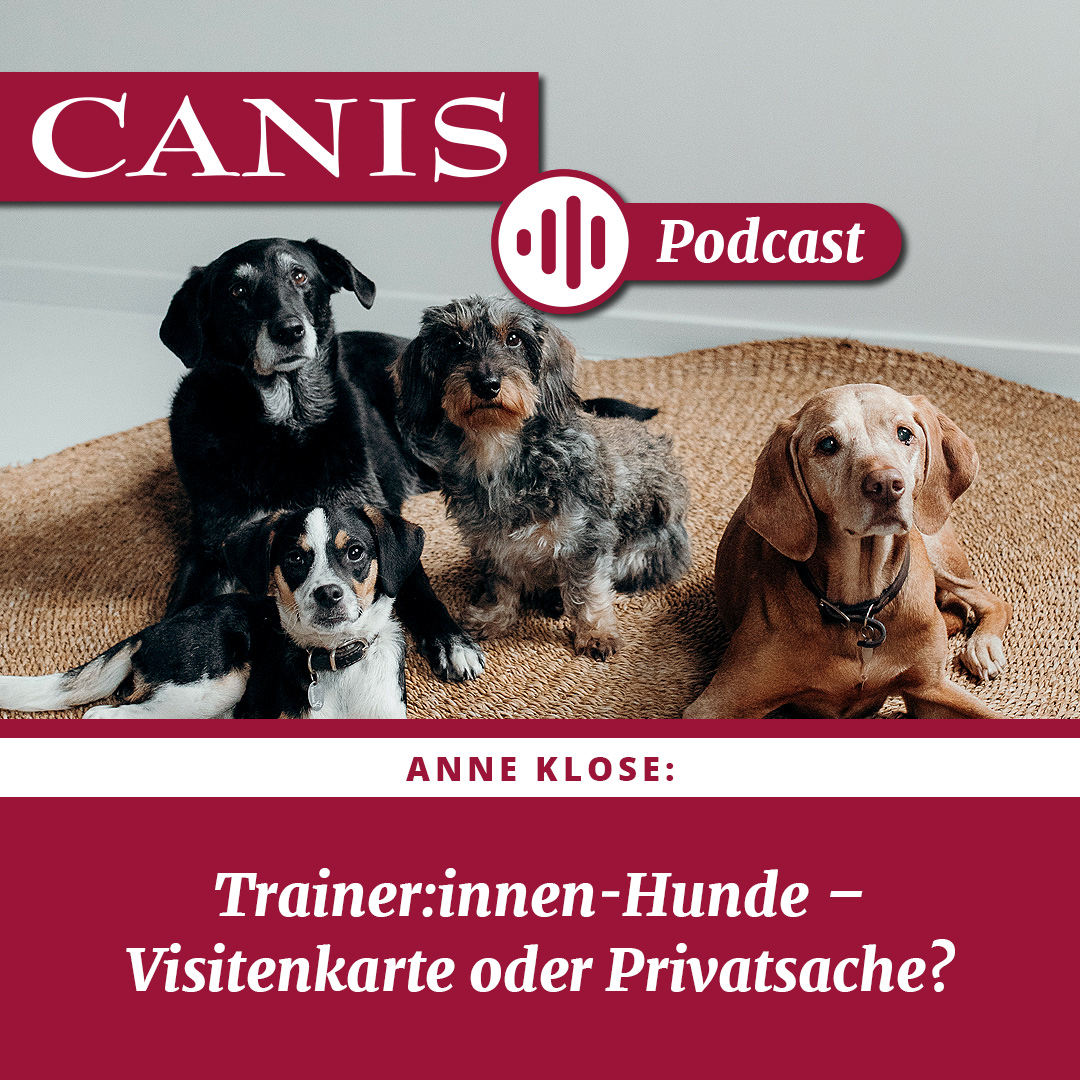 Der CANIS-Podcast – Hundeexpert:innen ausgefragt