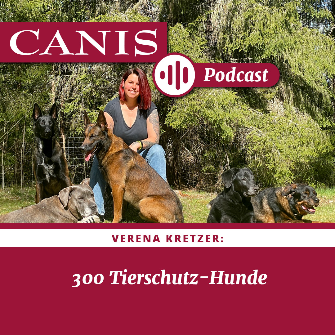 Der CANIS-Podcast – Hundeexpert:innen ausgefragt