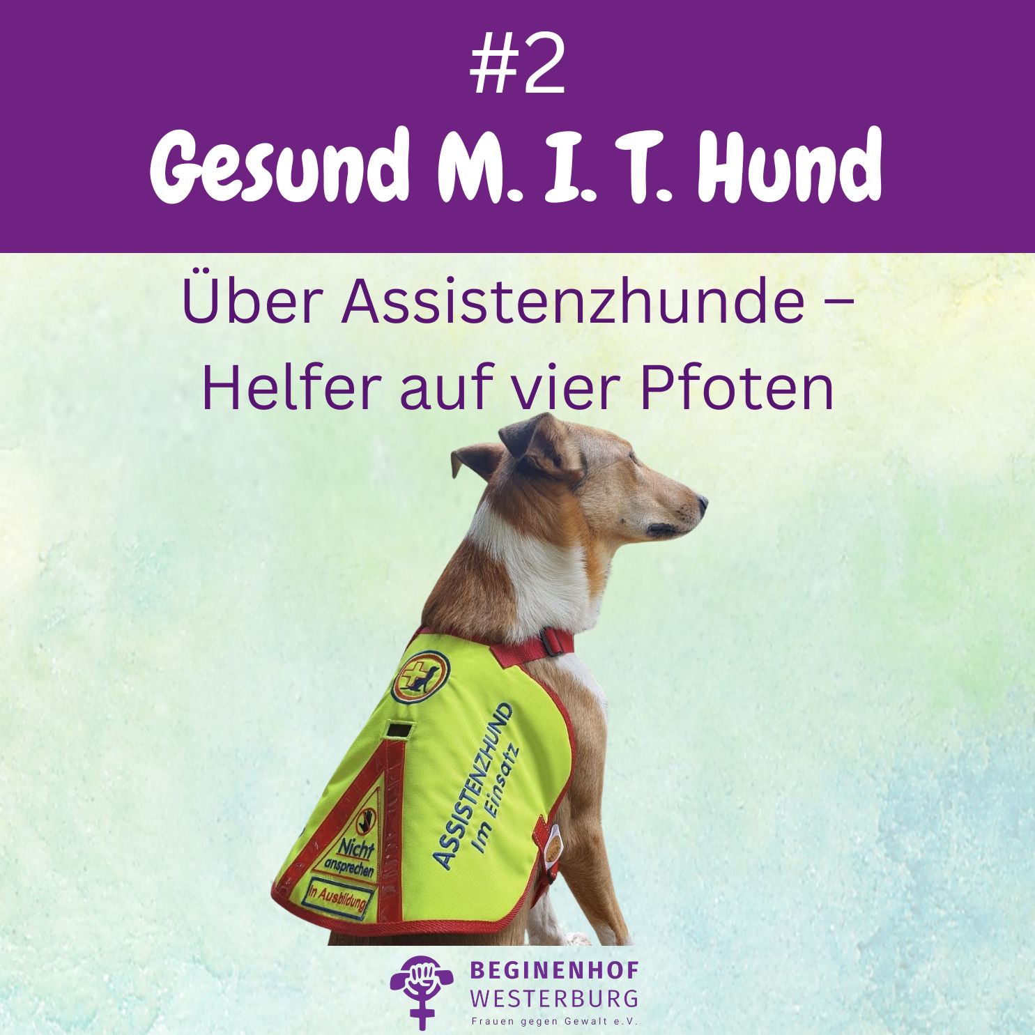 Gesund mit Hund