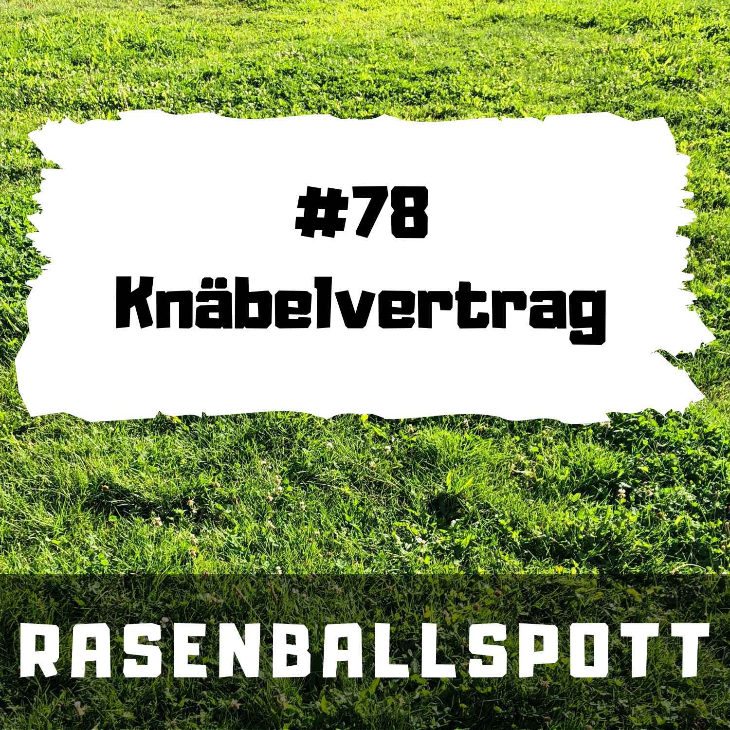 RASENBALLSPOTT