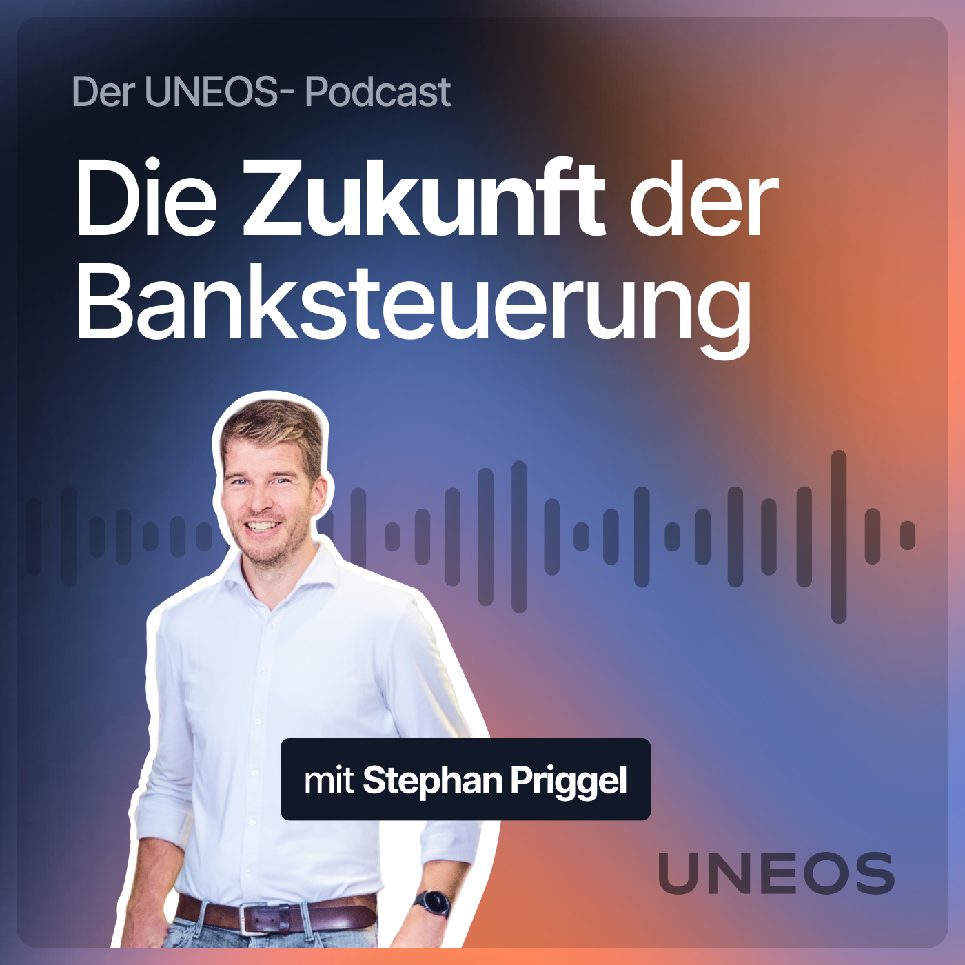 Friedemann Kammler: Wann kommt die KI-Wende in der Banksteuerung? #5 episode artwork