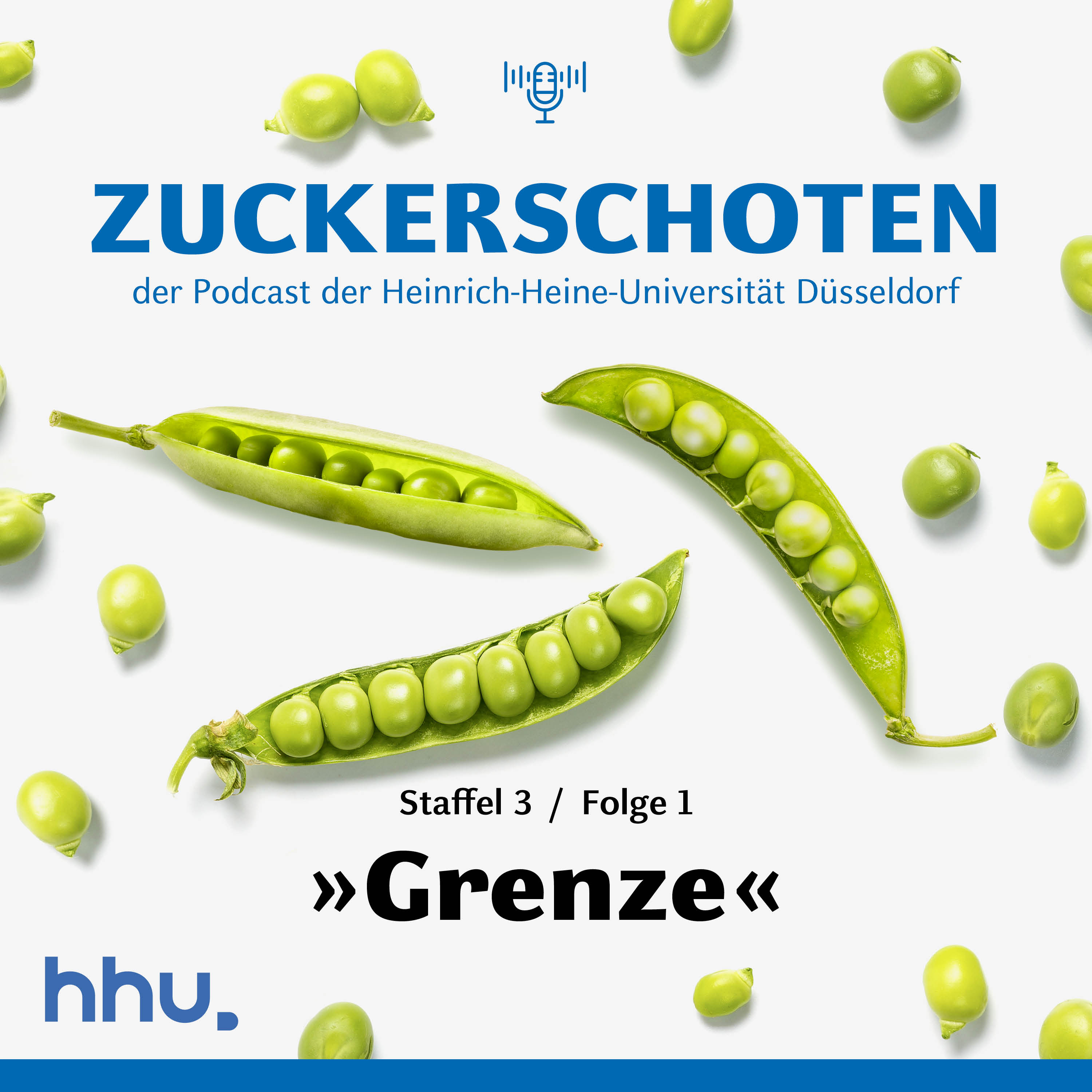 Grenze episode artwork