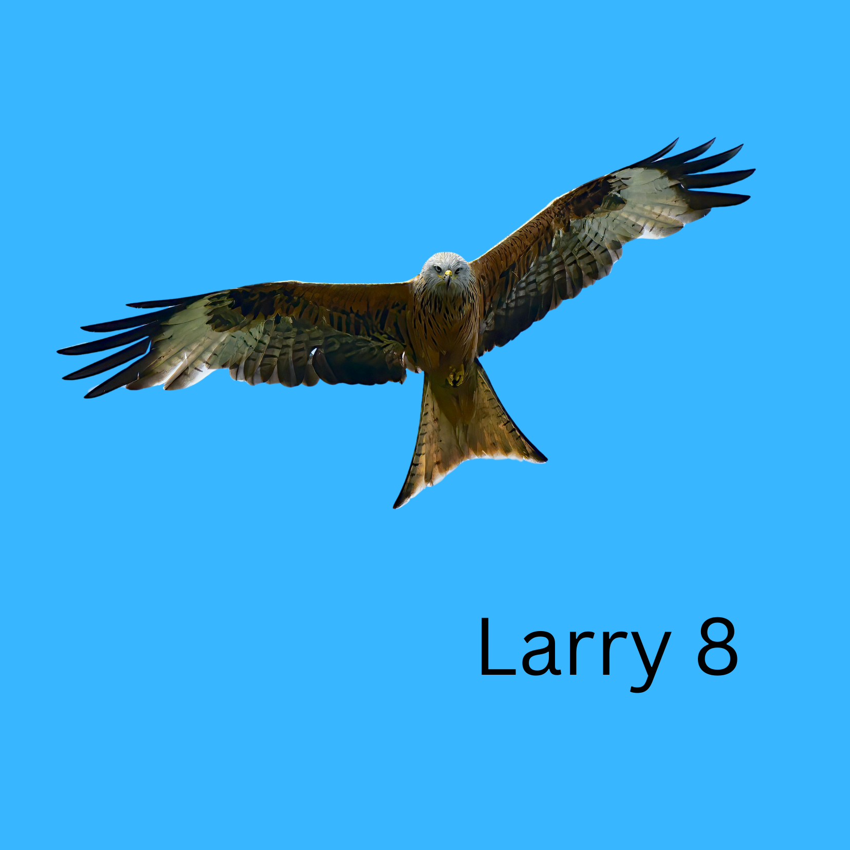 Friedenshamster Larry