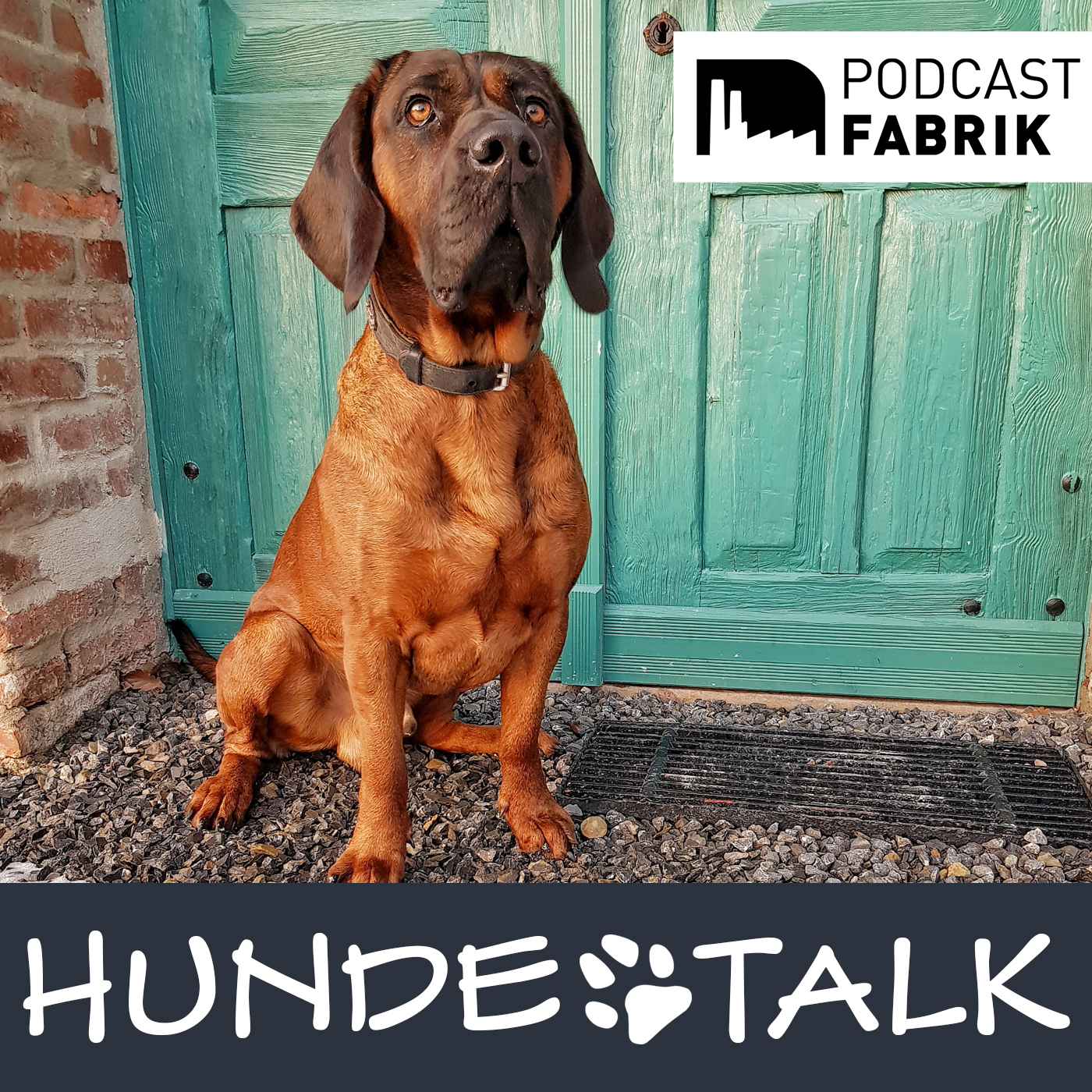 HUNDETALK - Dein Hunderunde-Podcast