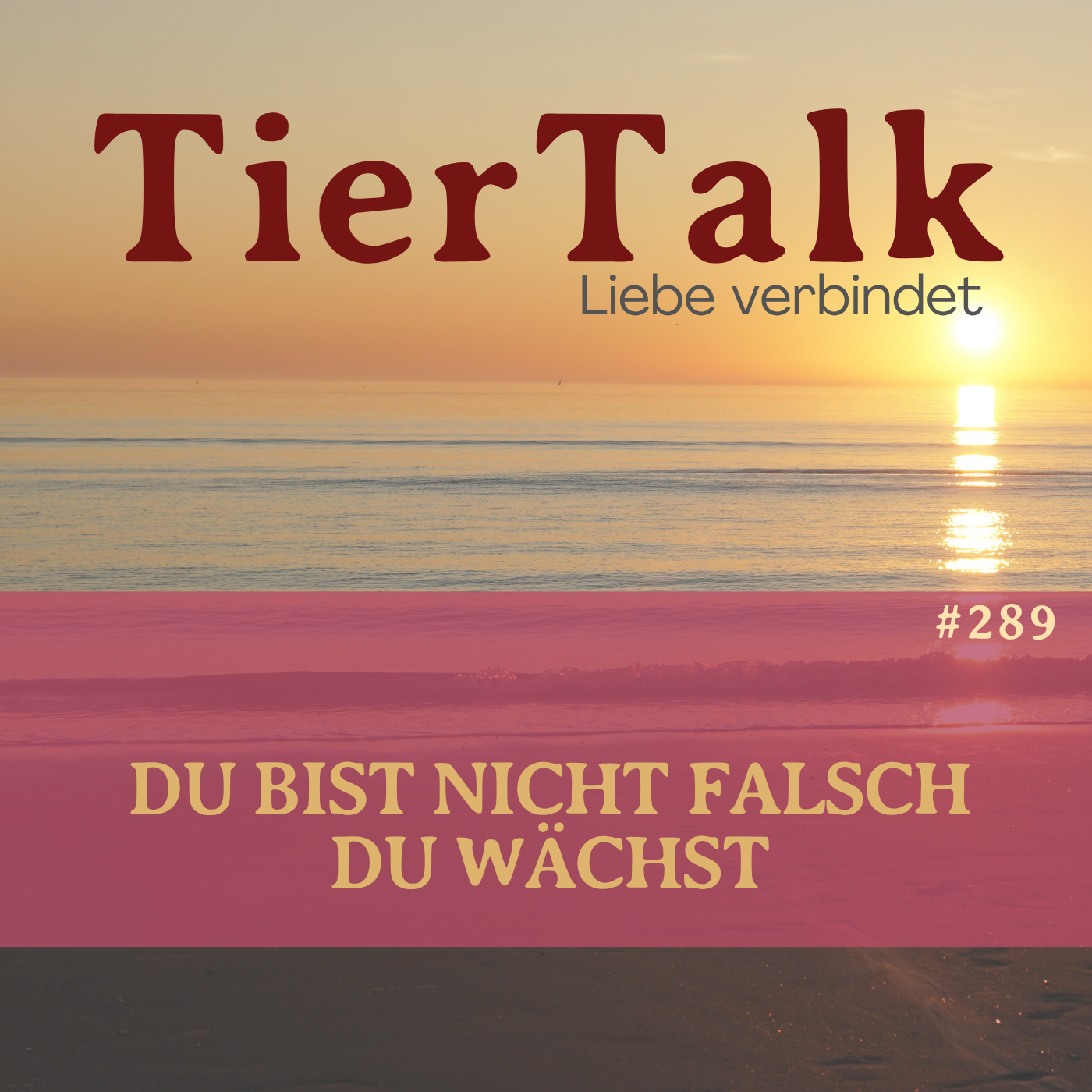 289.  Warum sich dein nächstes Level unsicher anfühlt und was dein Tier dazu sagen würde episode artwork