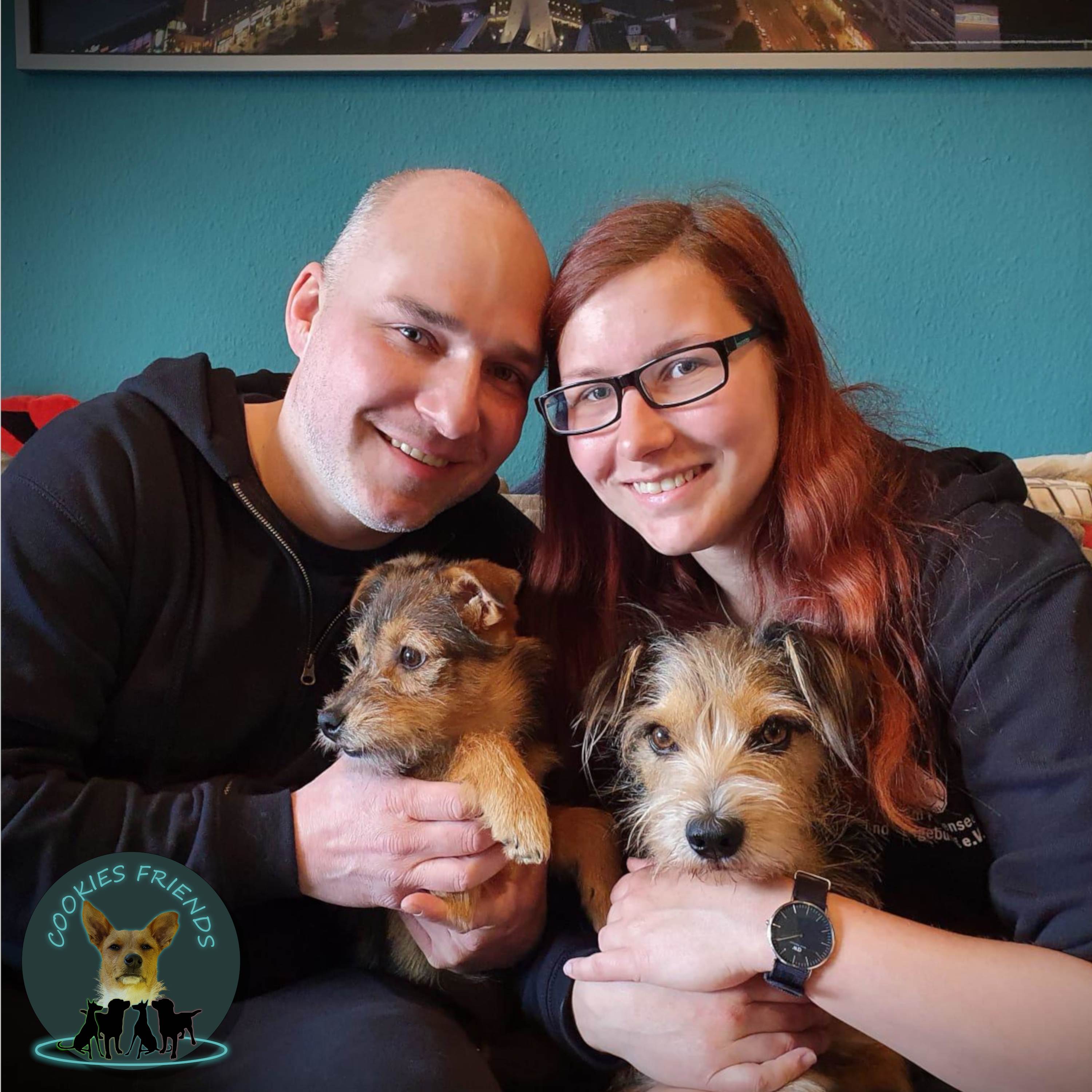 Cookies Friends. Der Podcast für Tierschutz-Hunde
