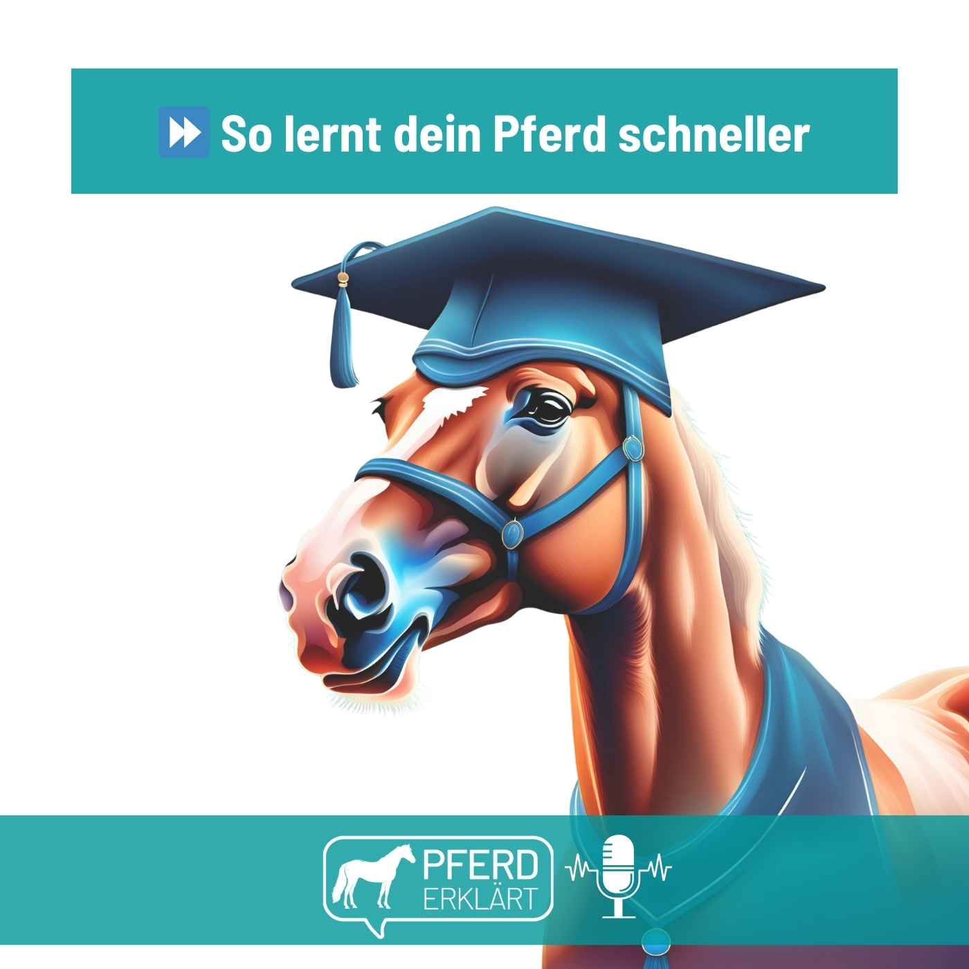Pferd erklärt
