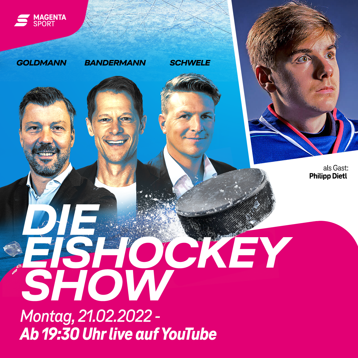 Die Eishockey Show
