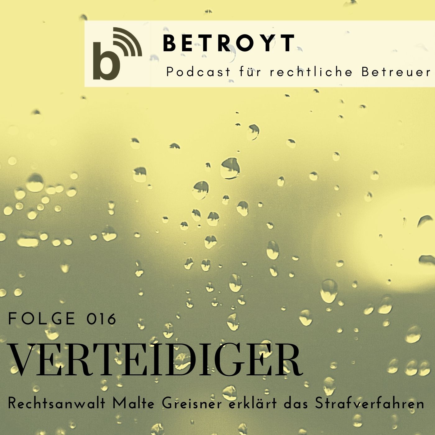 Folge 016 Verteidiger - Rechtsanwalt Malte Greisner erklärt das Strafverfahren